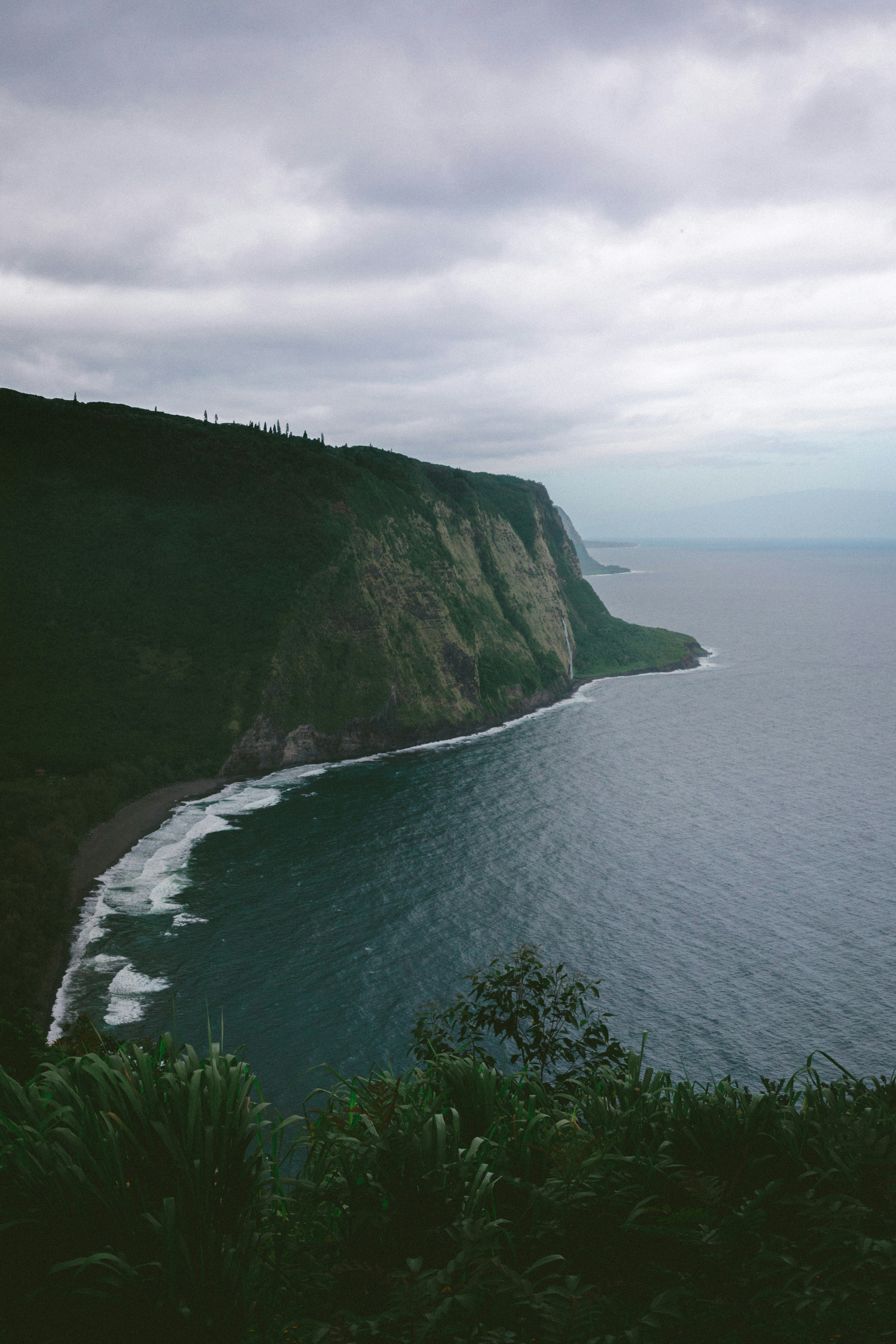 Photo by traviscolbert