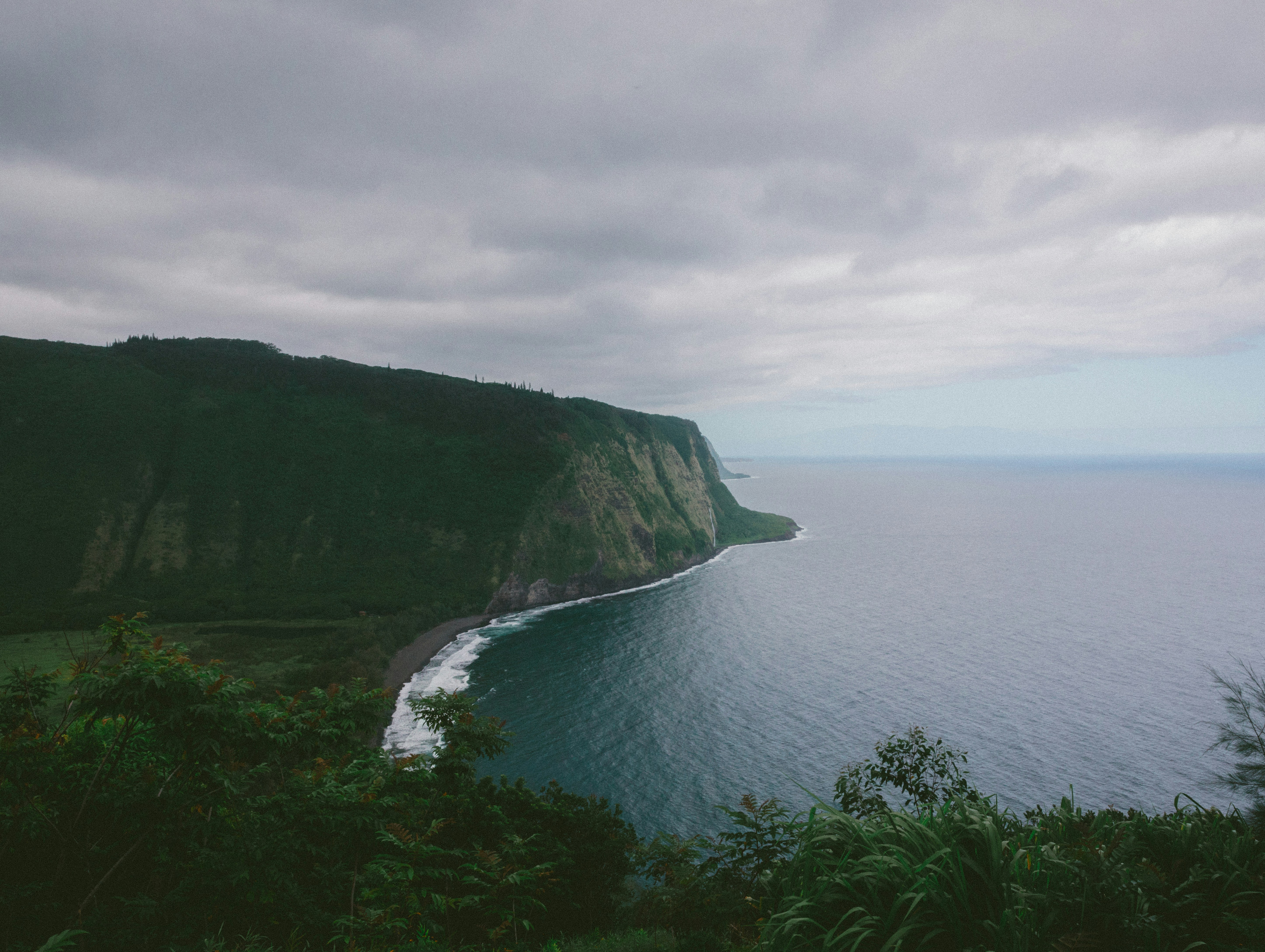 Photo by traviscolbert