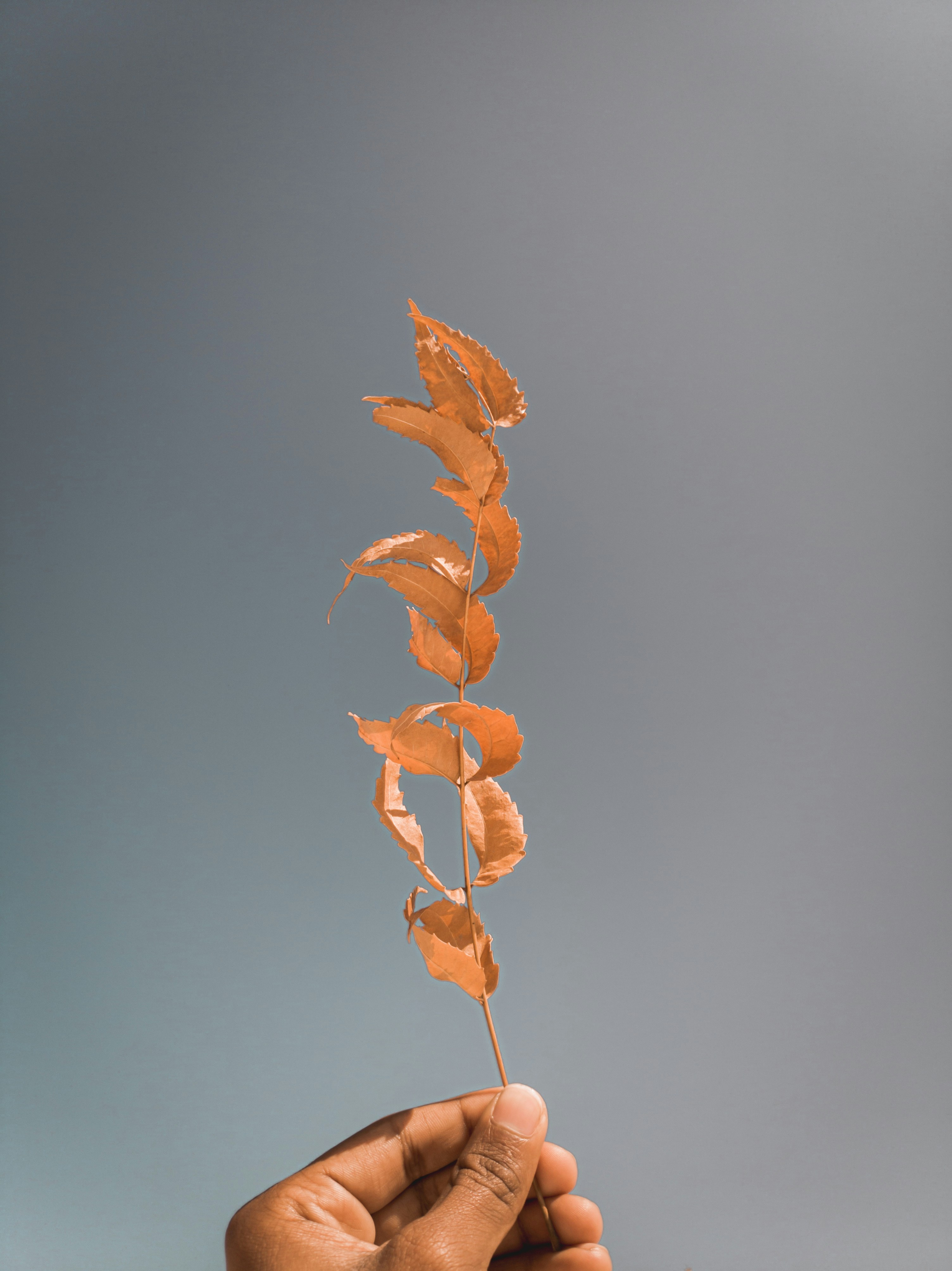 Photo by yashrajpany