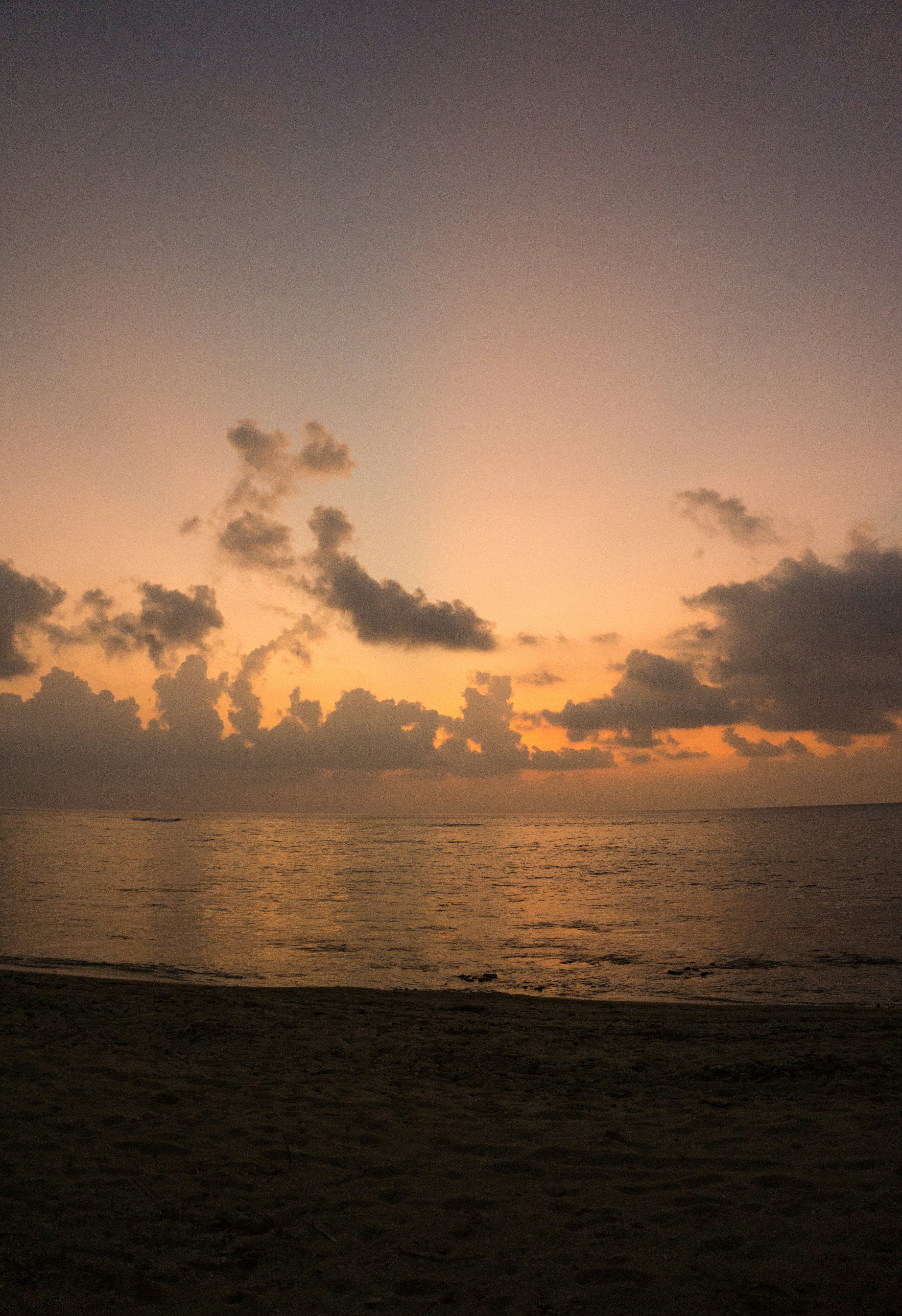 Photo by paolocamposjuan