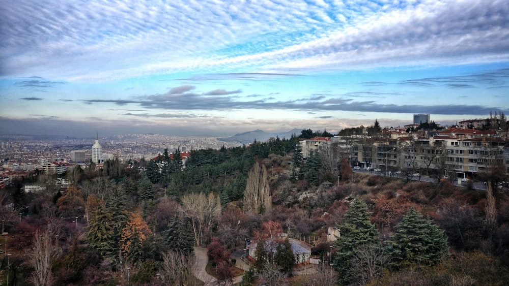 aerial view of city during daytime