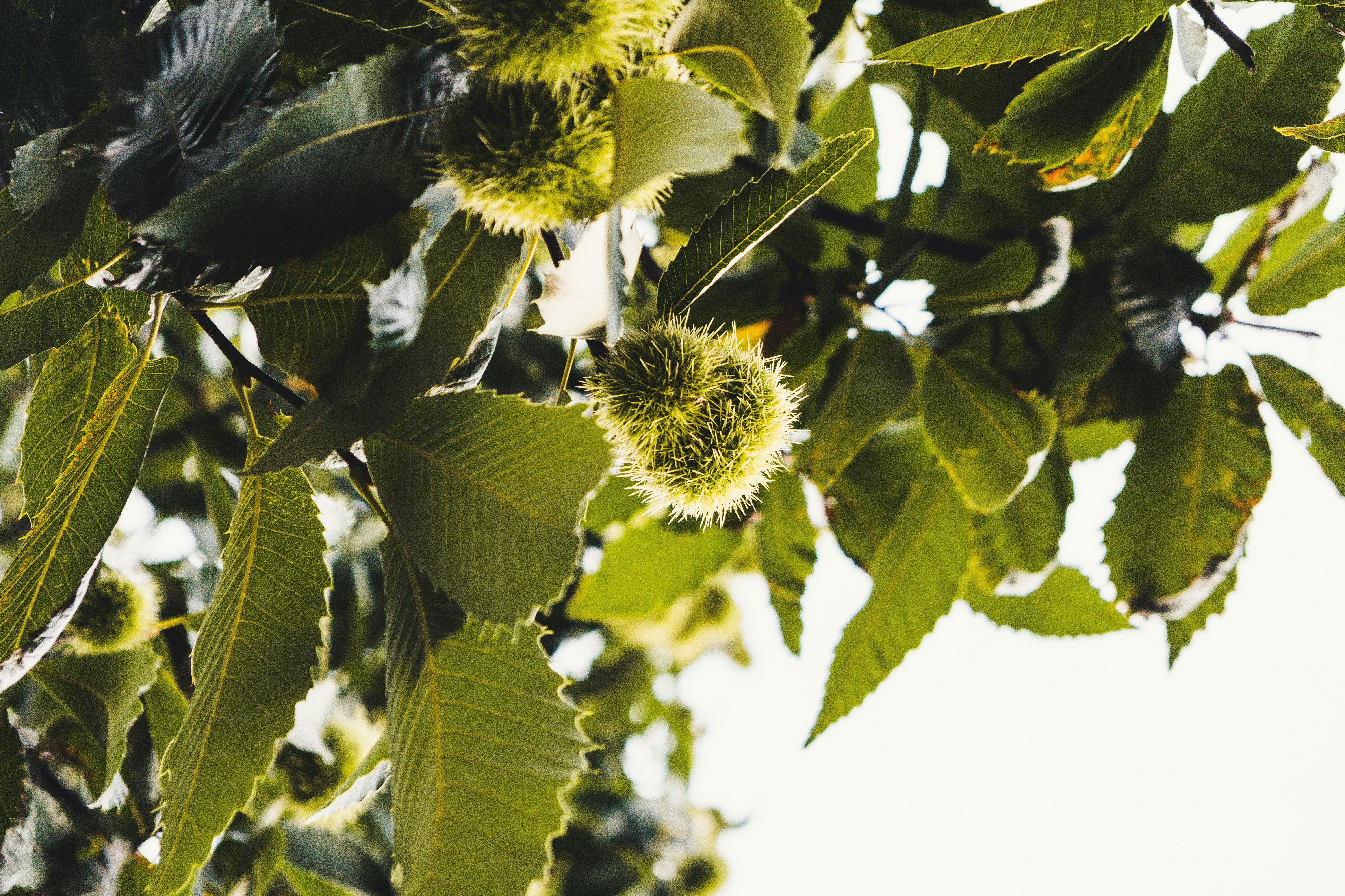 Photo by moritz_photography