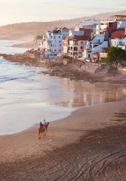 person in black shirt walking on seashore during daytime