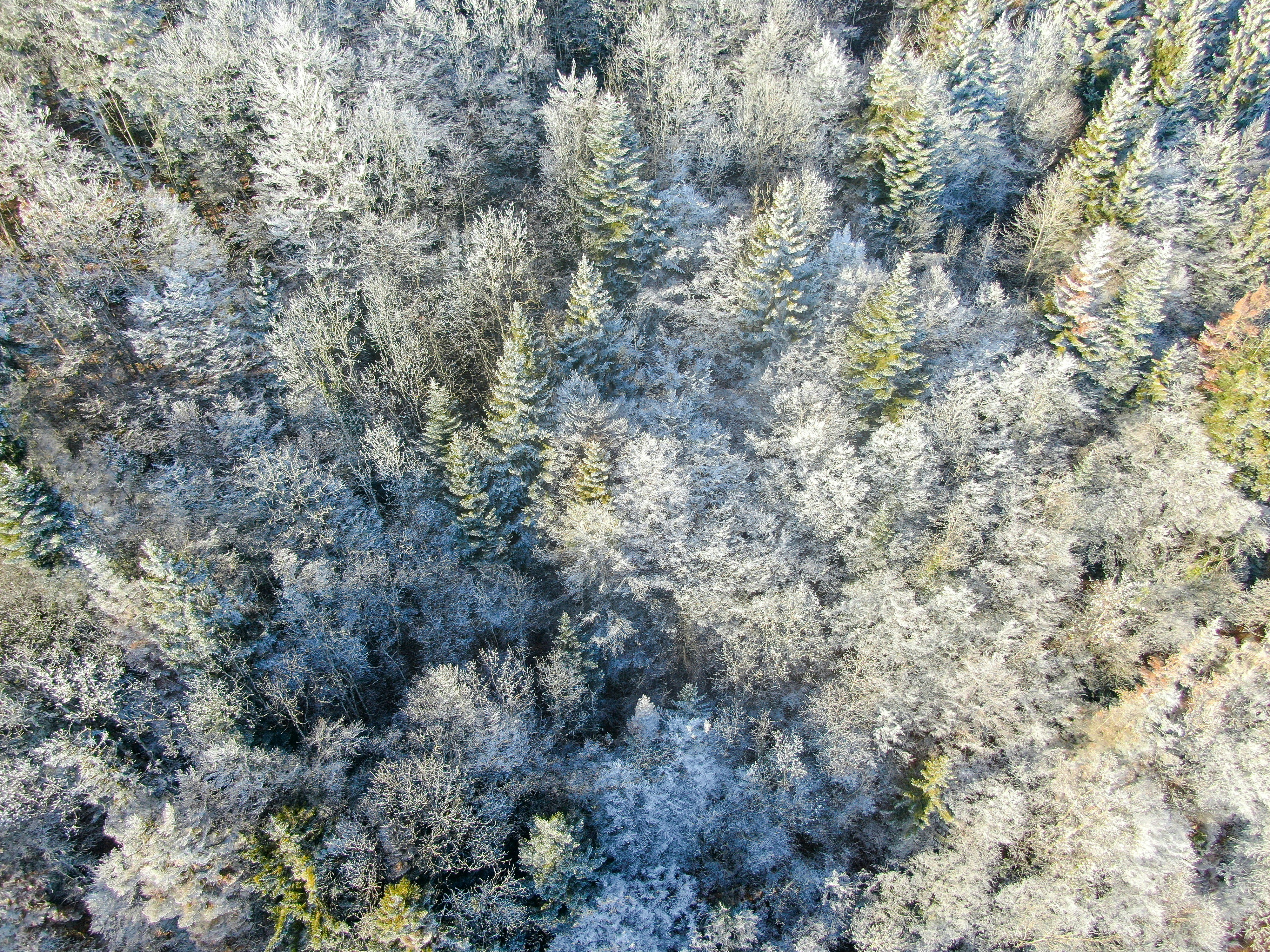 Photo by nathan030997