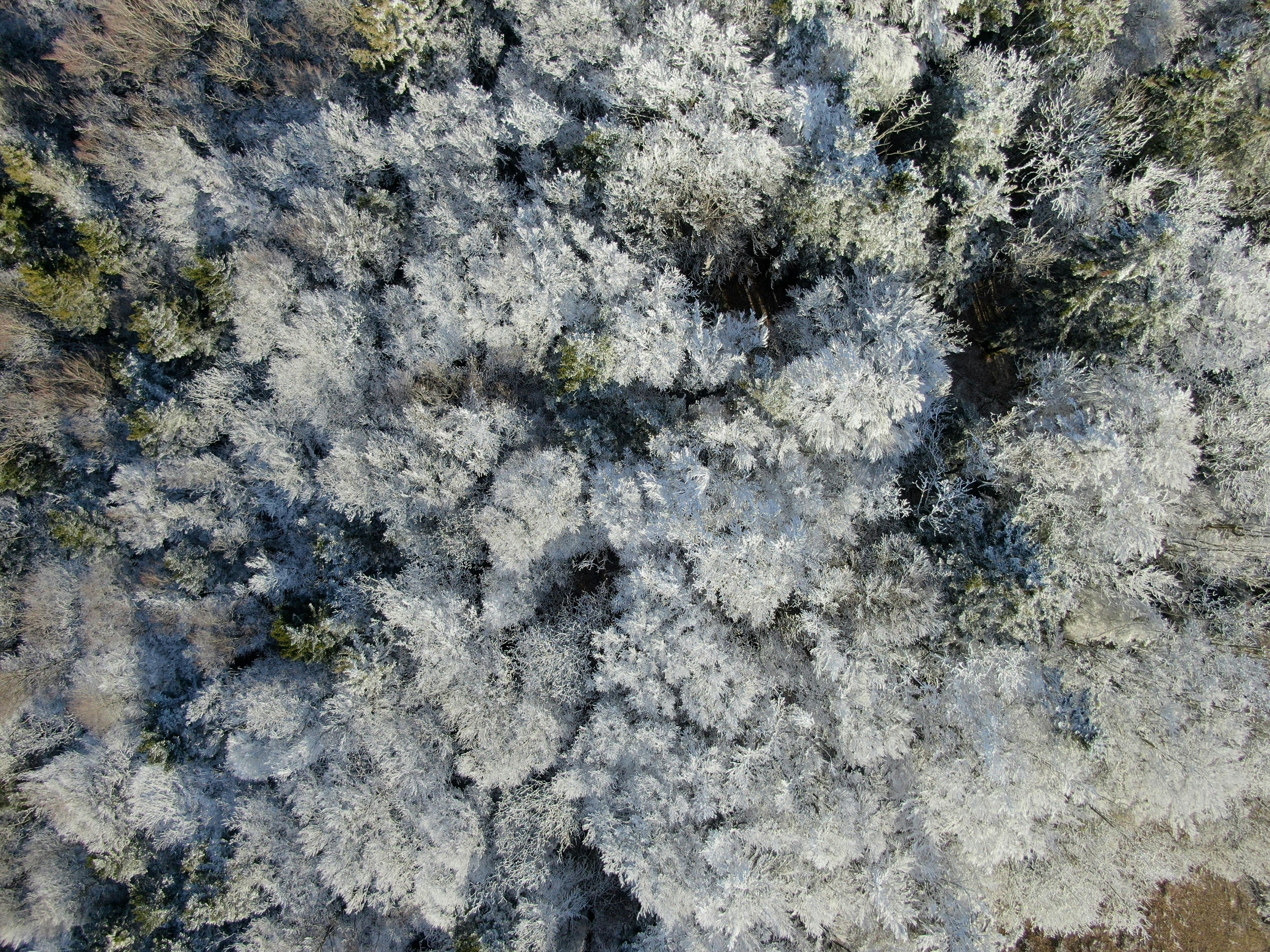 Photo by nathan030997