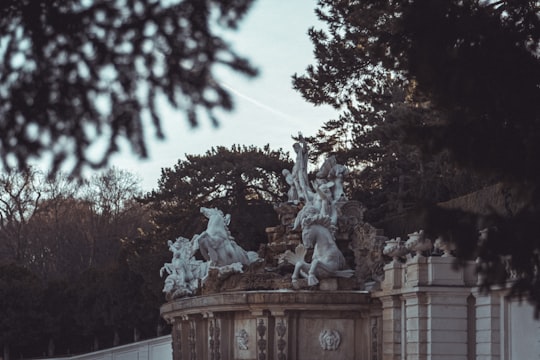 white angel statue on brown wooden table in Schönbrunner Schloss Park Austria