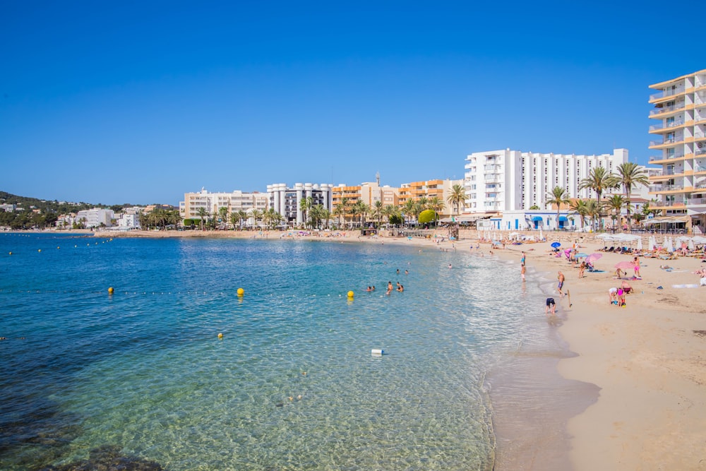 people on beach during daytime