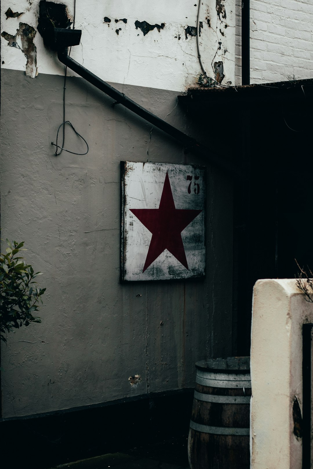 white and red star print door