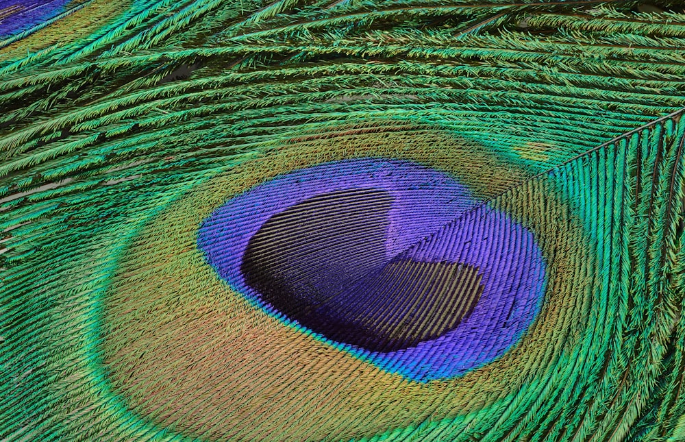 textile rond vert, bleu et violet