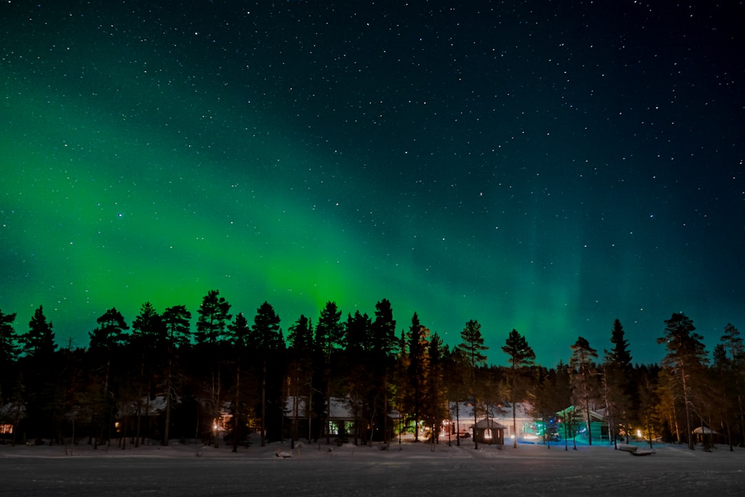 green trees on a sunny day, Aurora borealis above cottage in Finland.