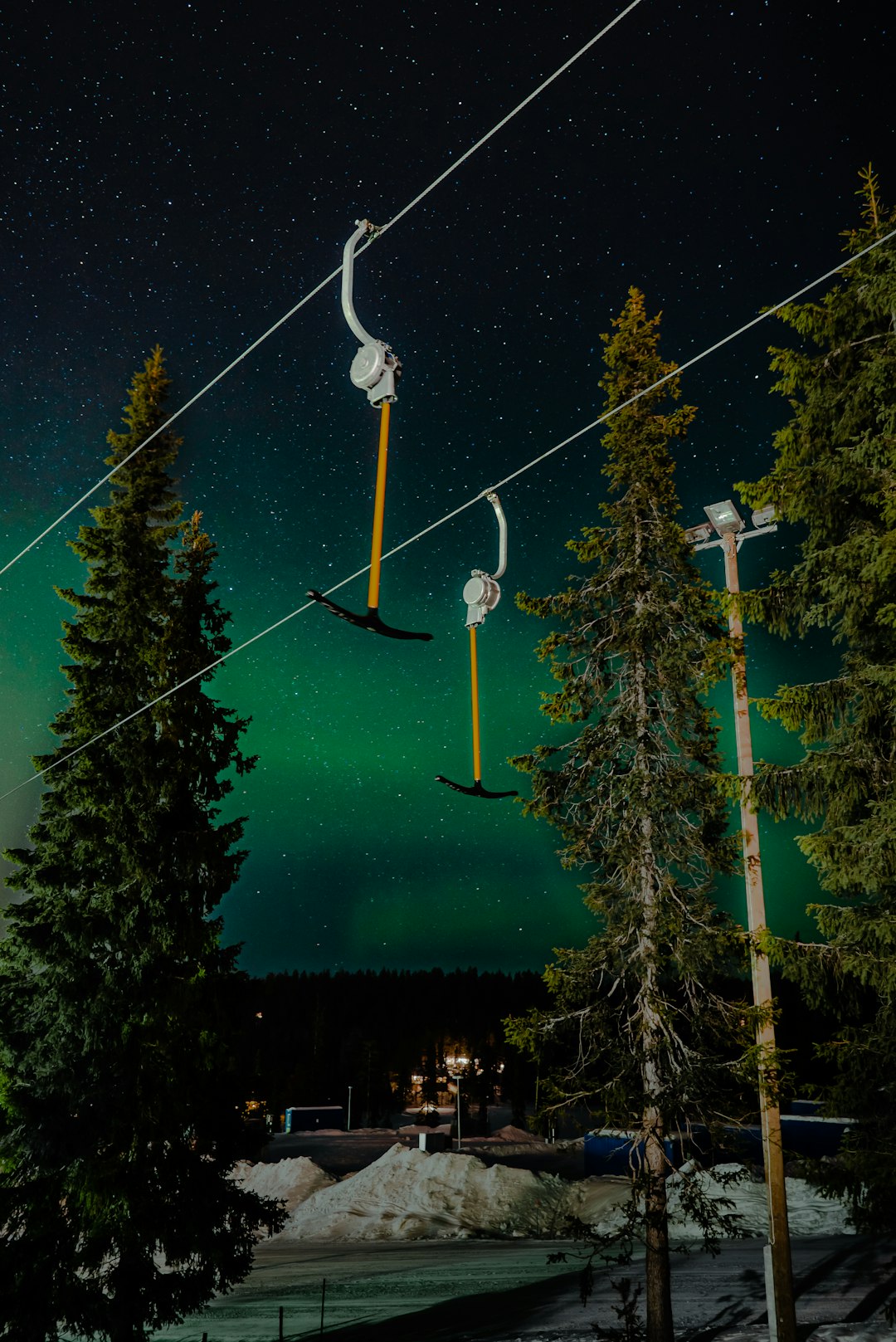 green and brown trees during night time