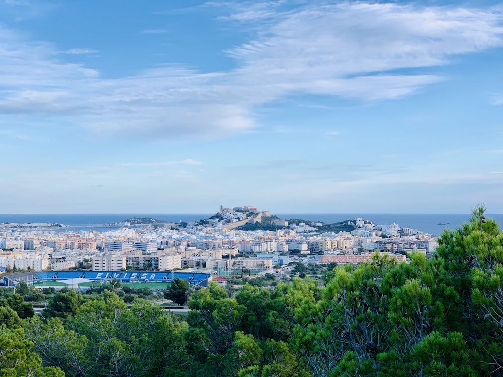 city with high rise buildings under blue sky during daytime