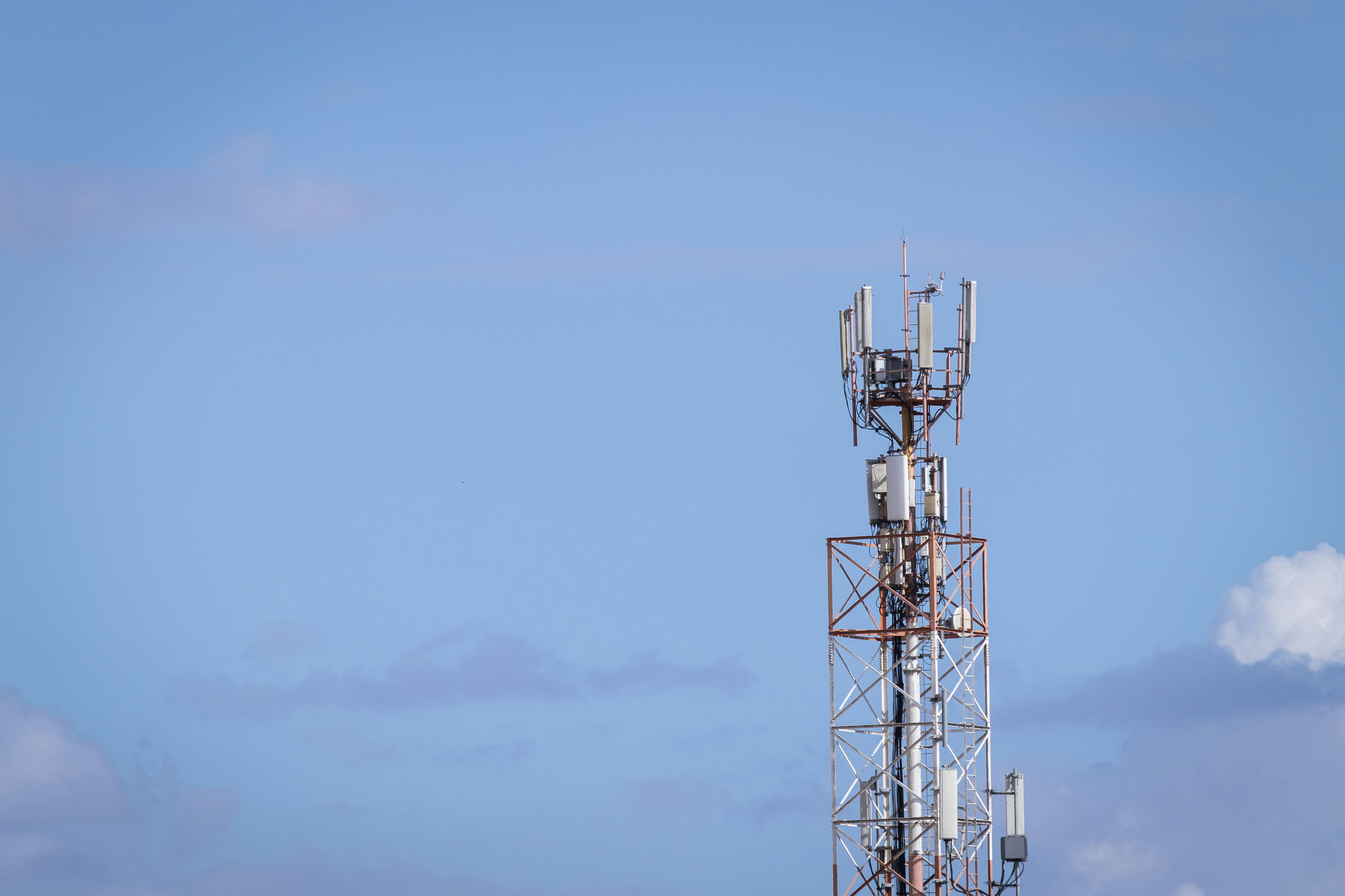 Photo by thiagojapyassu