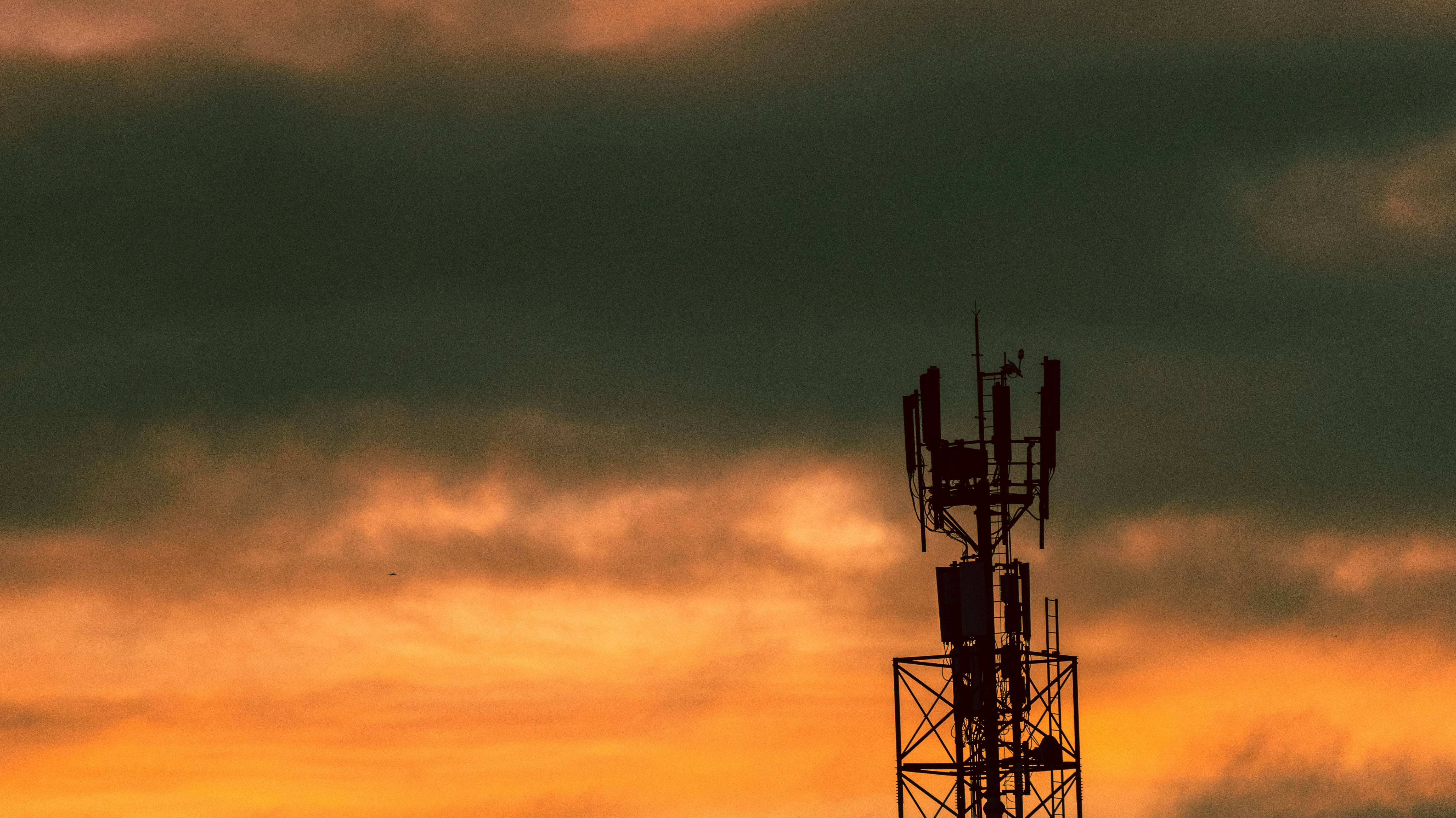 silhouette of tower during sunset
