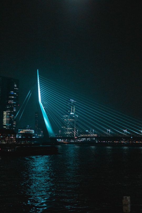 blue lighted bridge during night time in Erasmus Bridge Netherlands