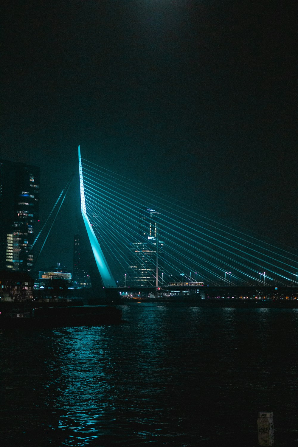 blue lighted bridge during night time