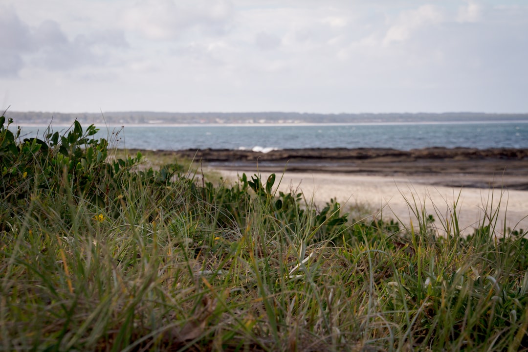 Shore photo spot Huskisson NSW Bombo