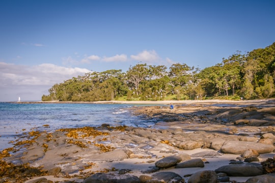 Huskisson Beach things to do in Sussex Inlet NSW