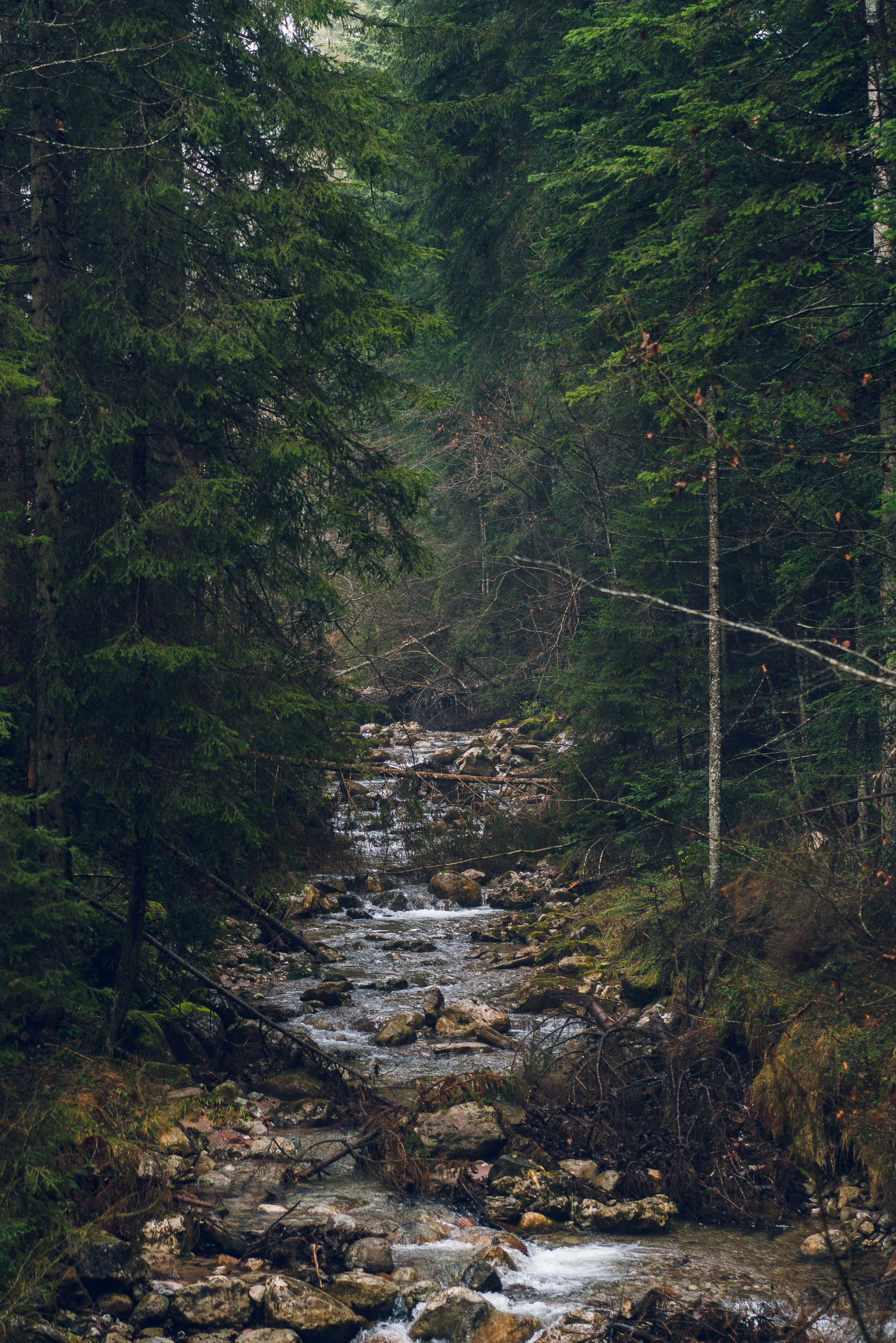 Photo by silasbaisch