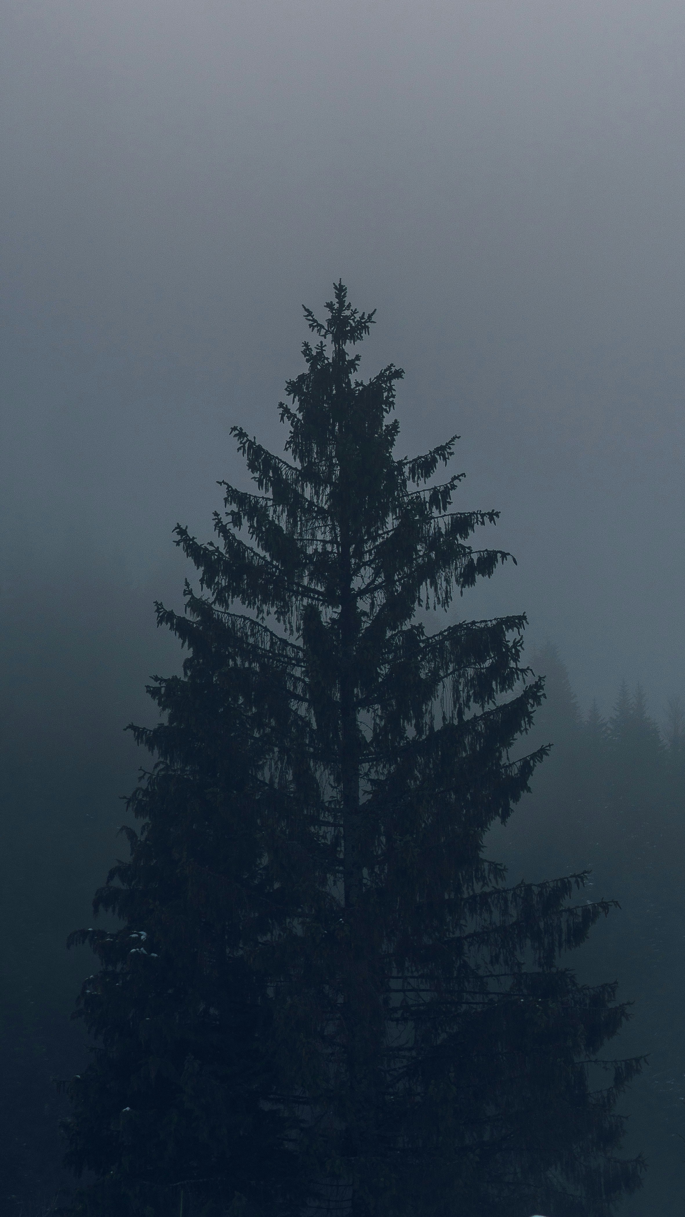 Photo by silasbaisch