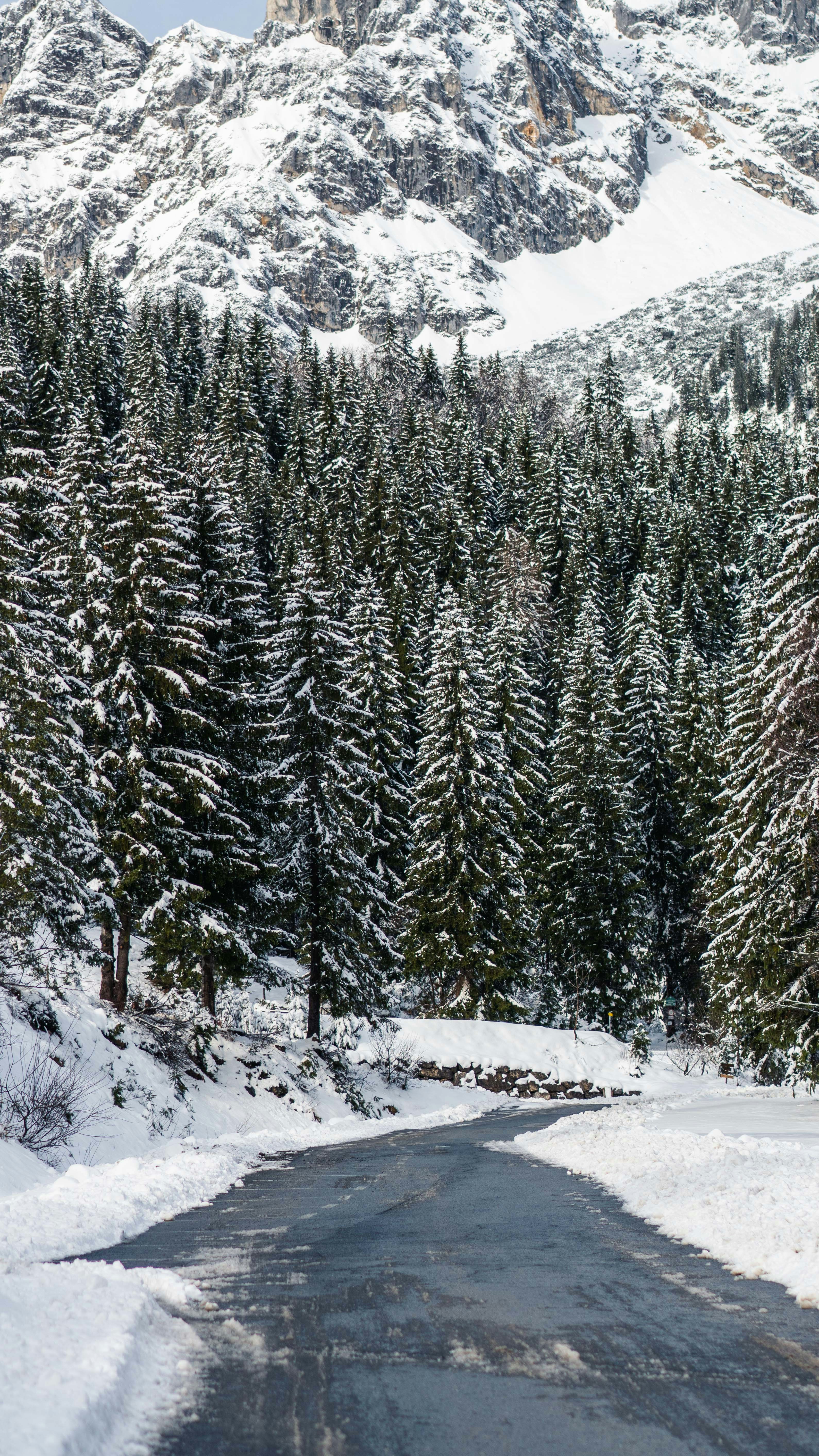 Photo by silasbaisch