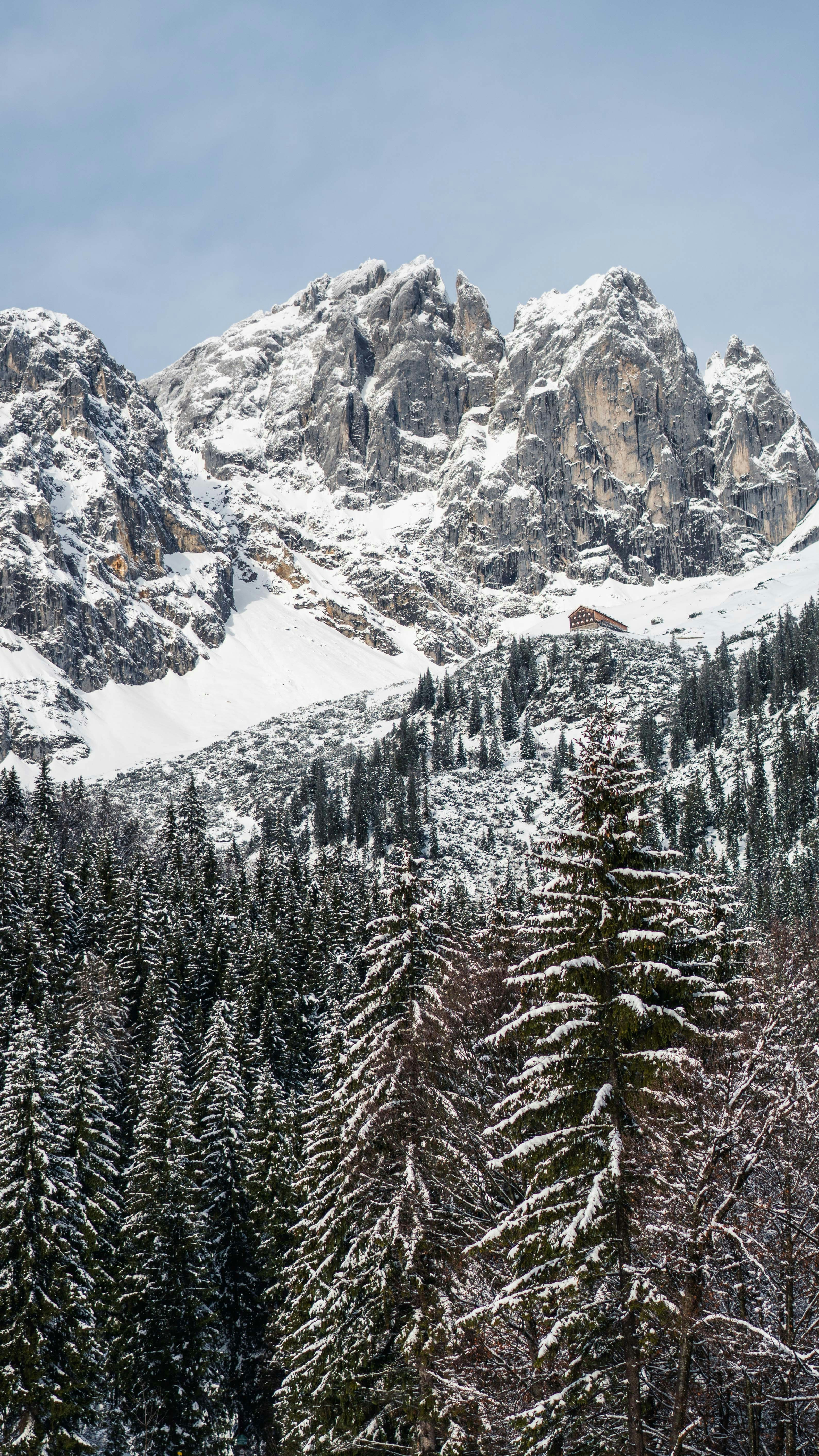 Photo by silasbaisch