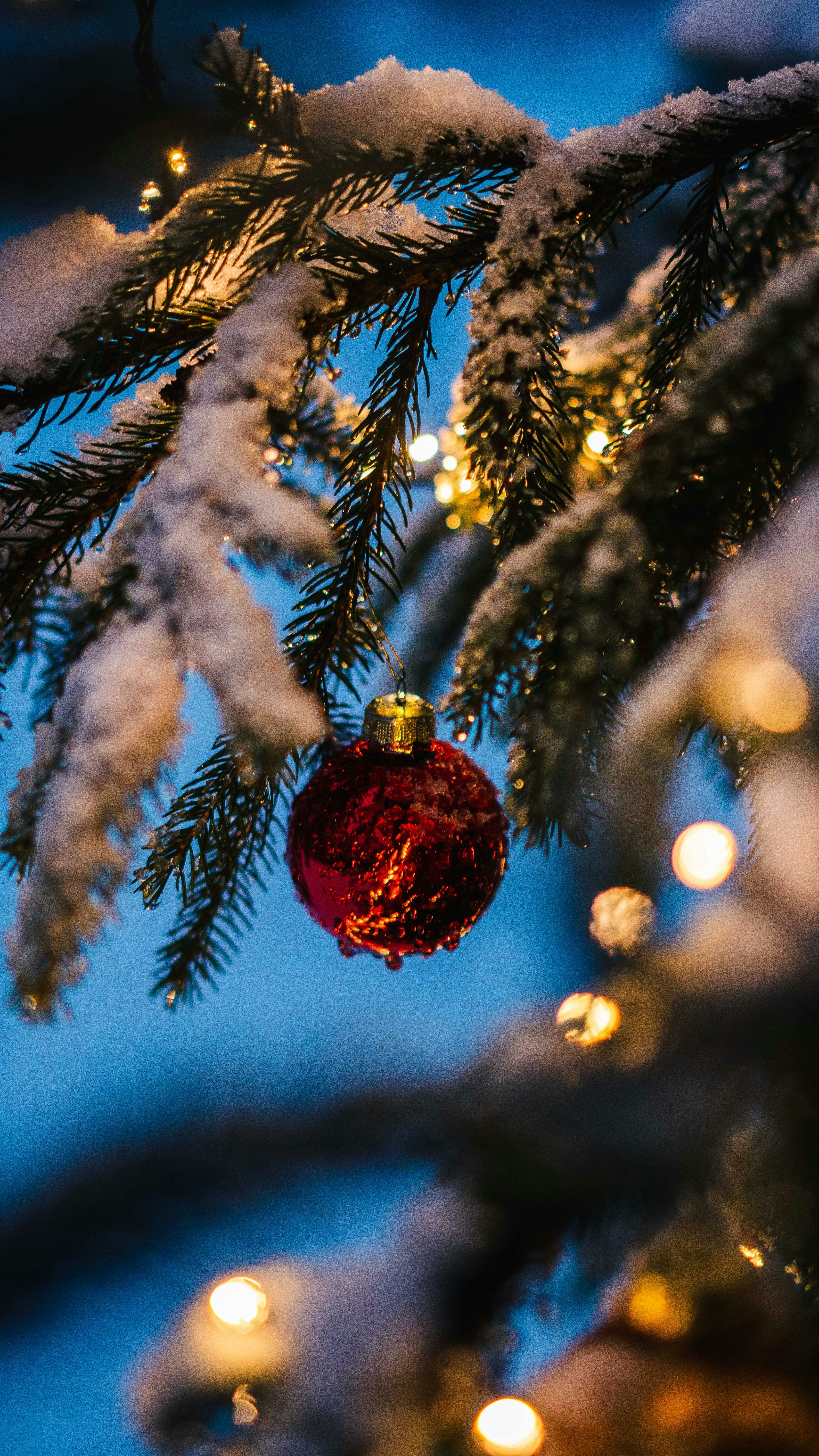 Photo by silasbaisch