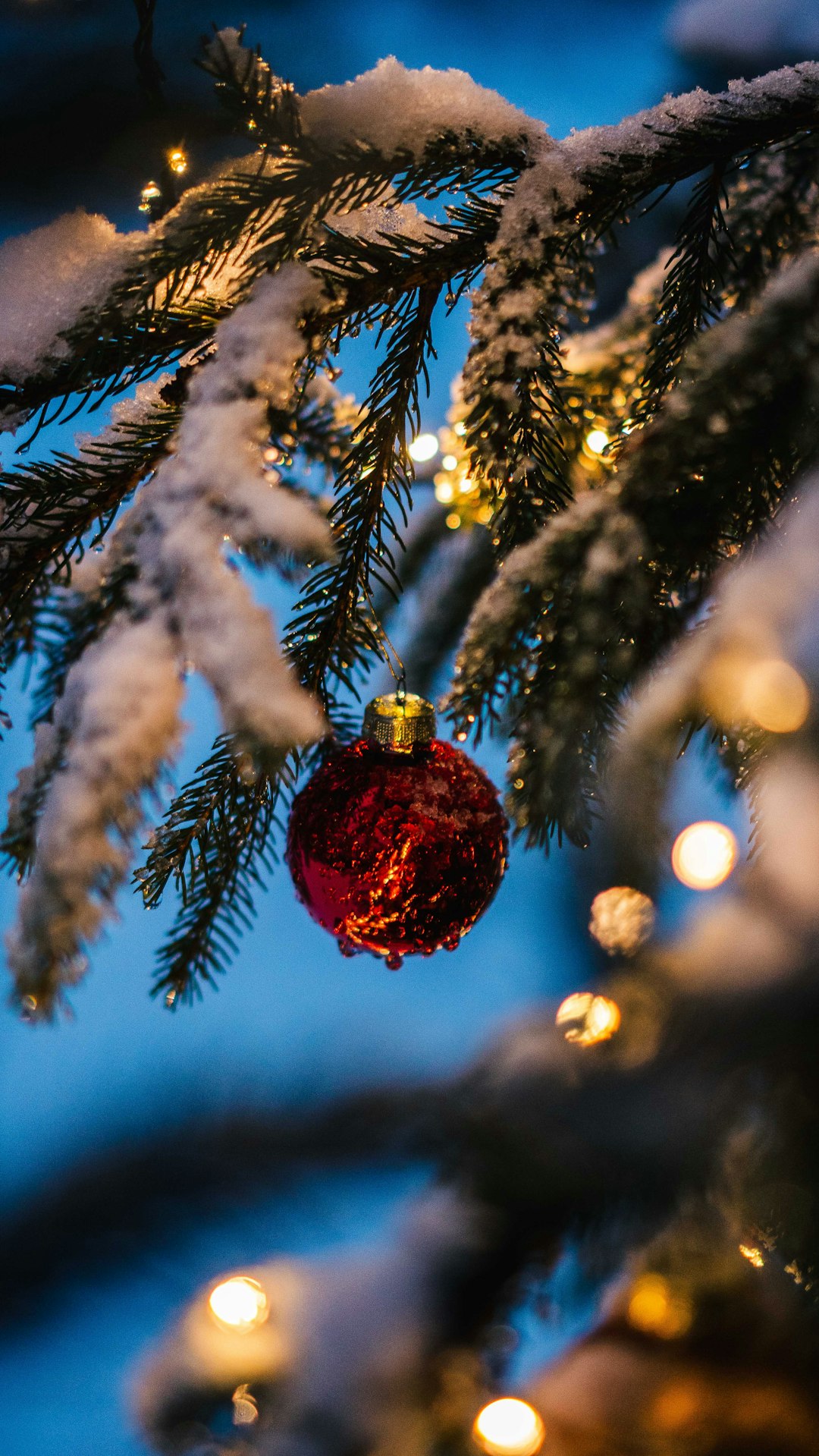 red bauble on green christmas tree