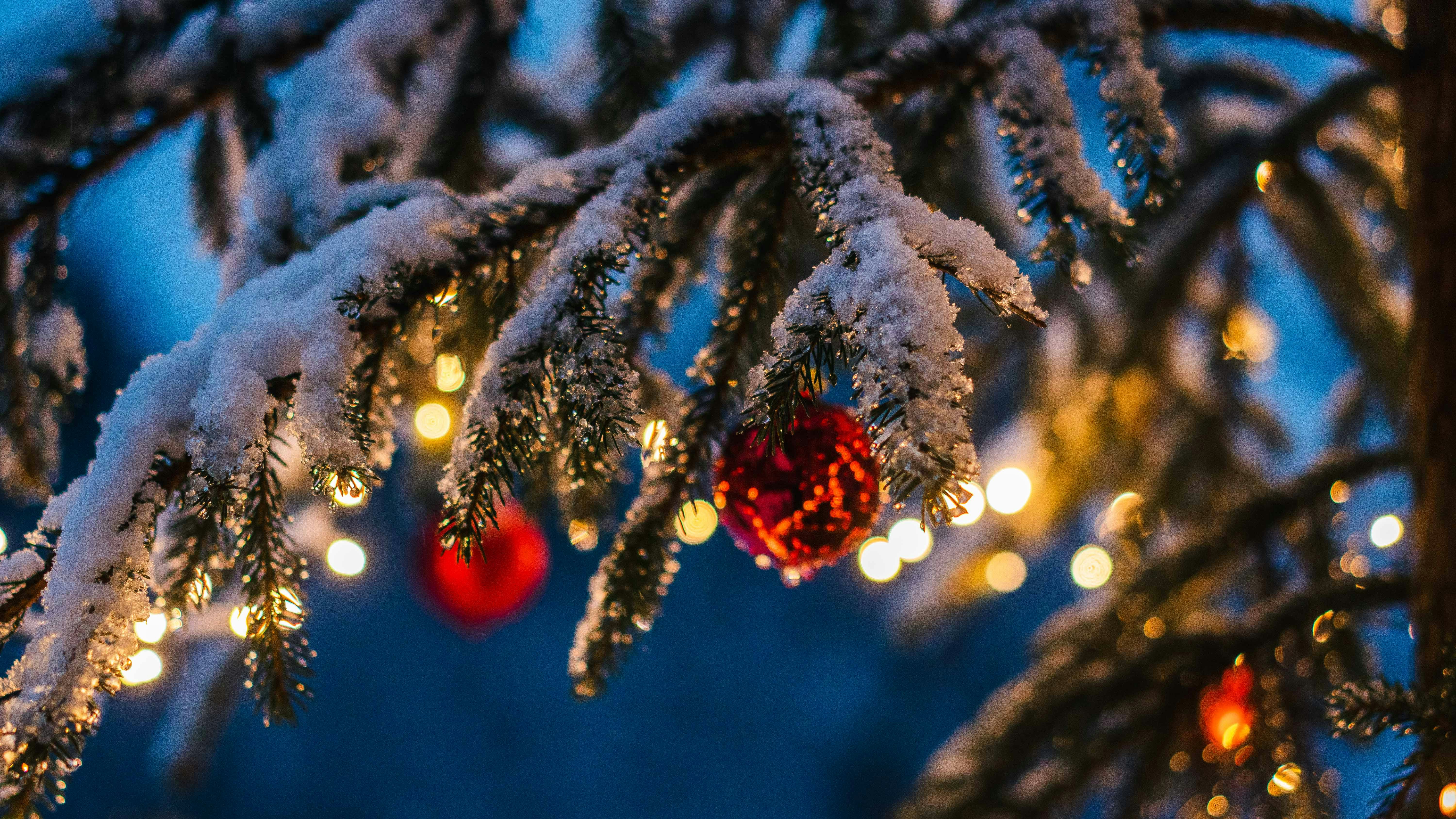 Photo by silasbaisch