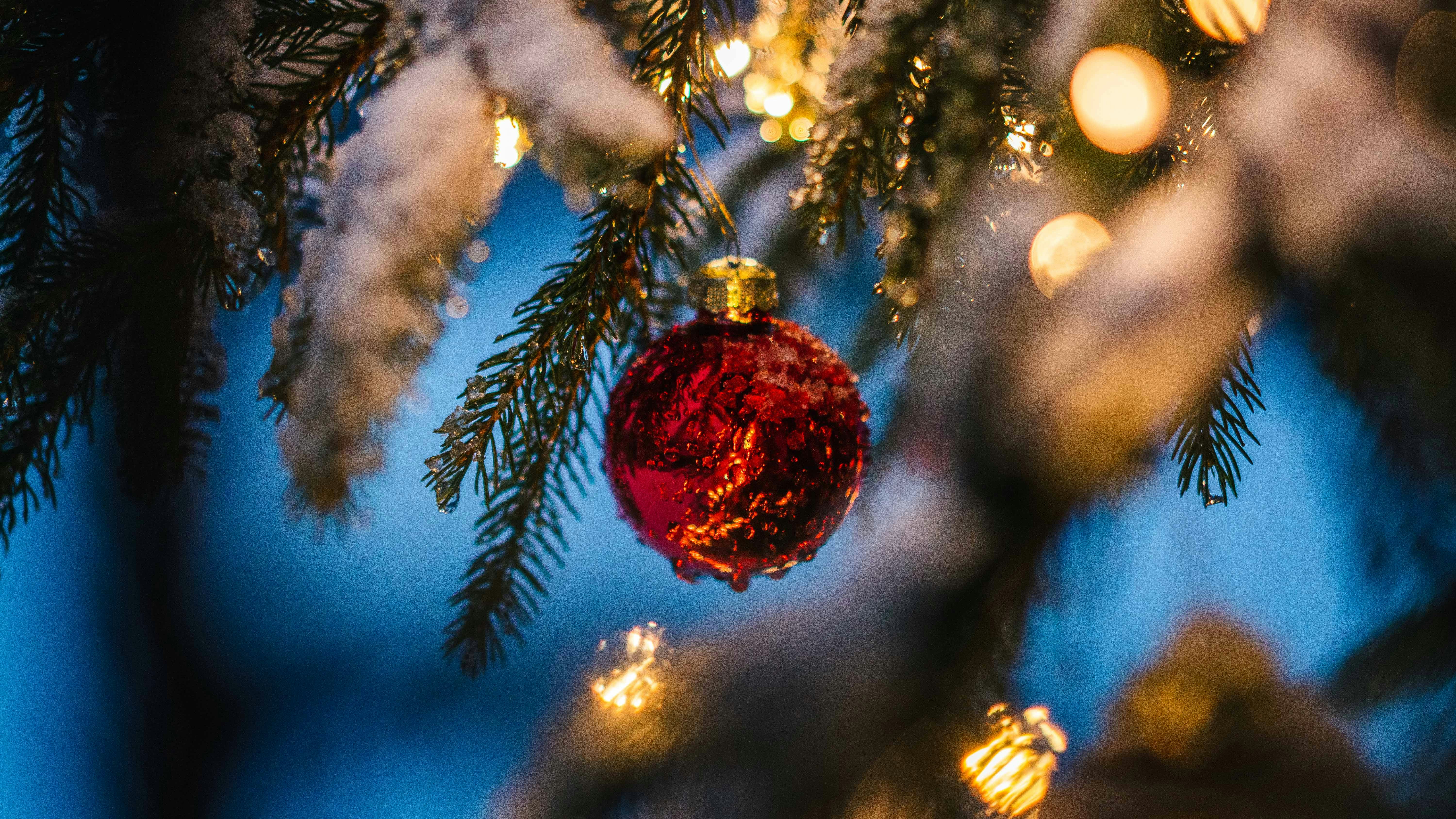 Photo by silasbaisch