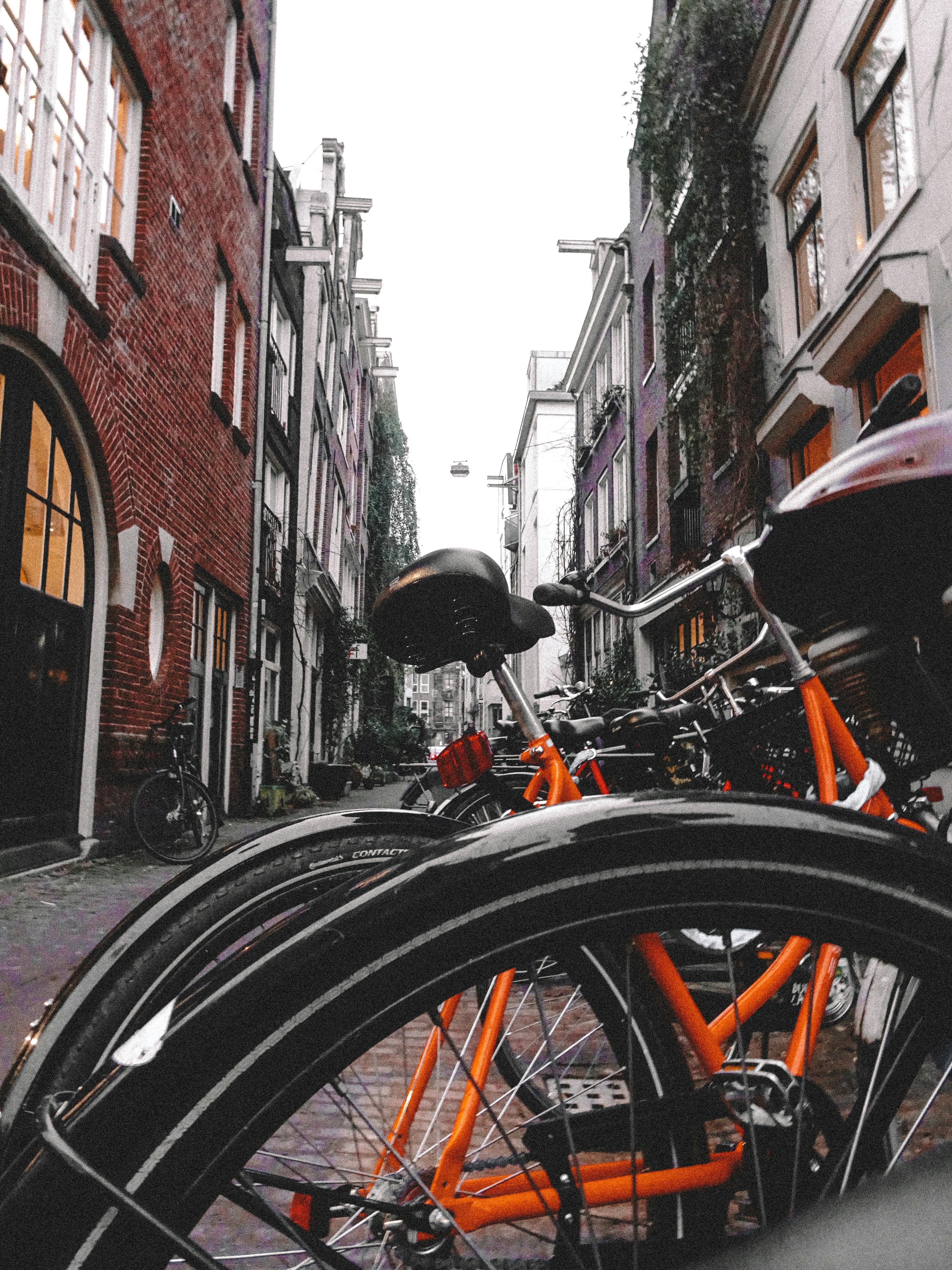 Photo by juliamiranda_