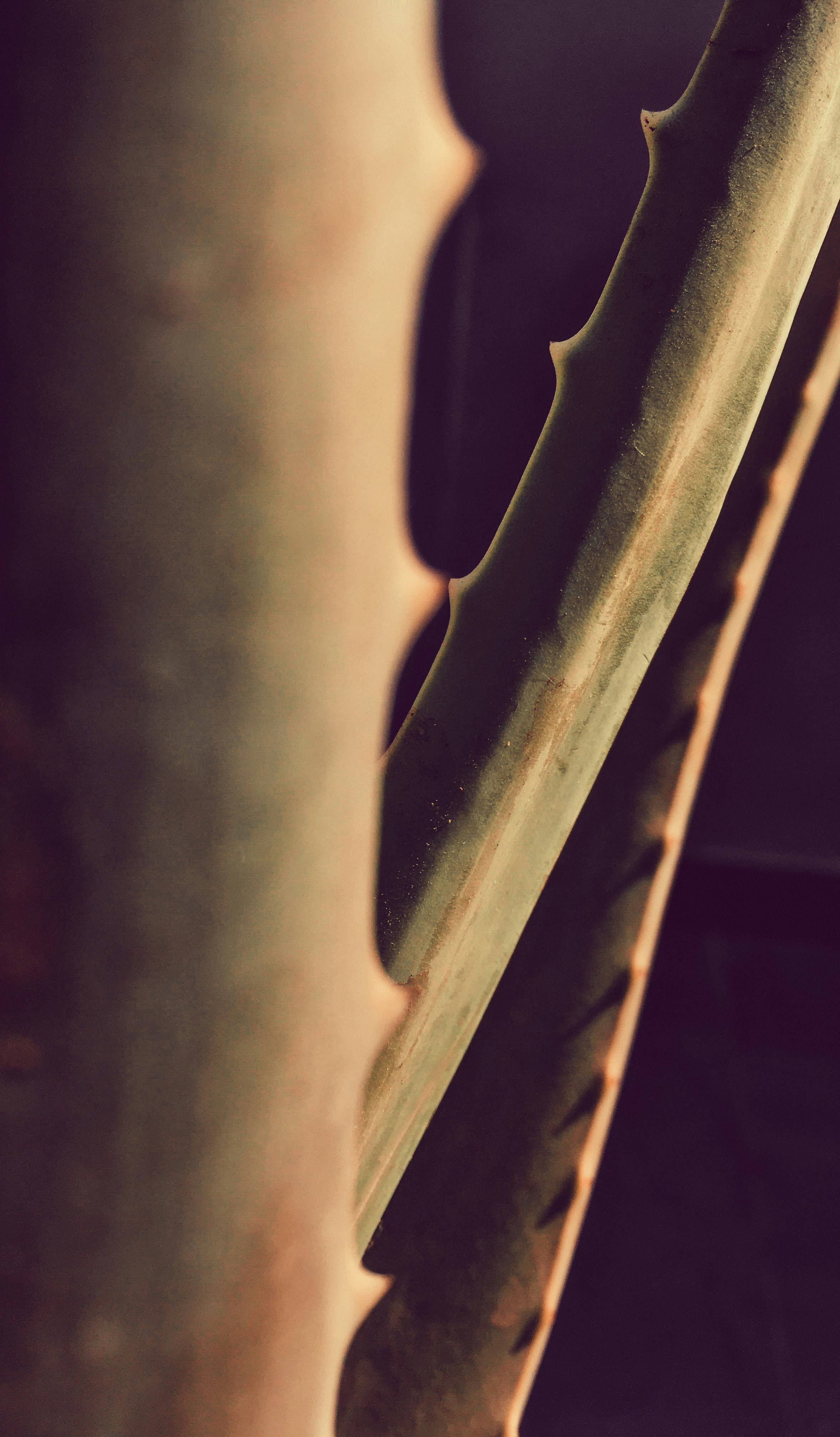 Photo by azazmerchant