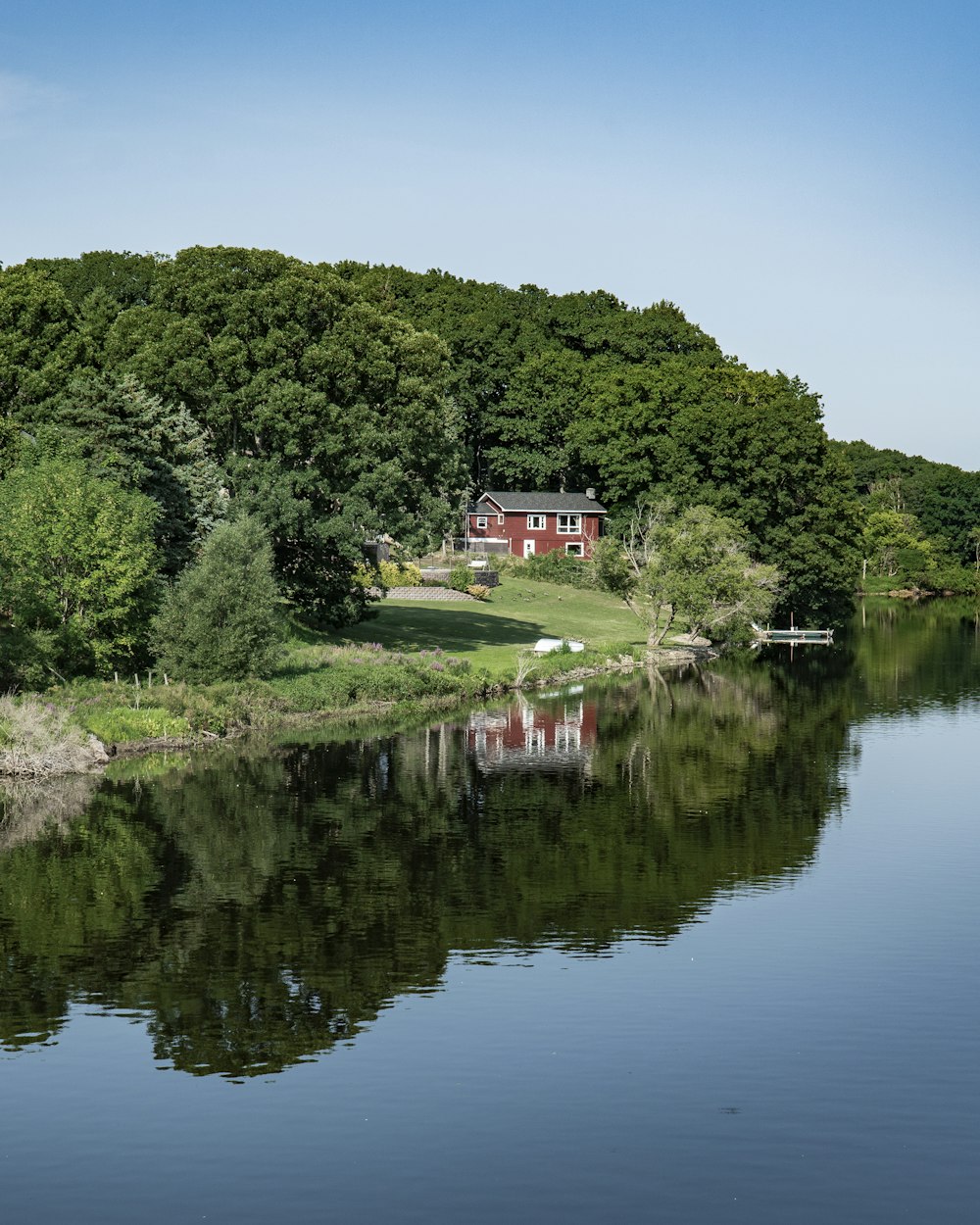 green trees beside river during daytime