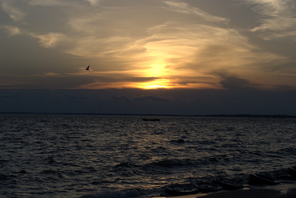 silhouette of bird flying over the sea during sunset