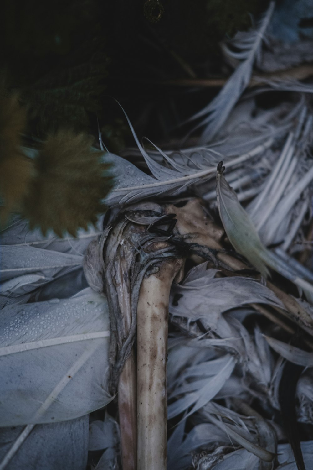 green and brown leaves on gray textile