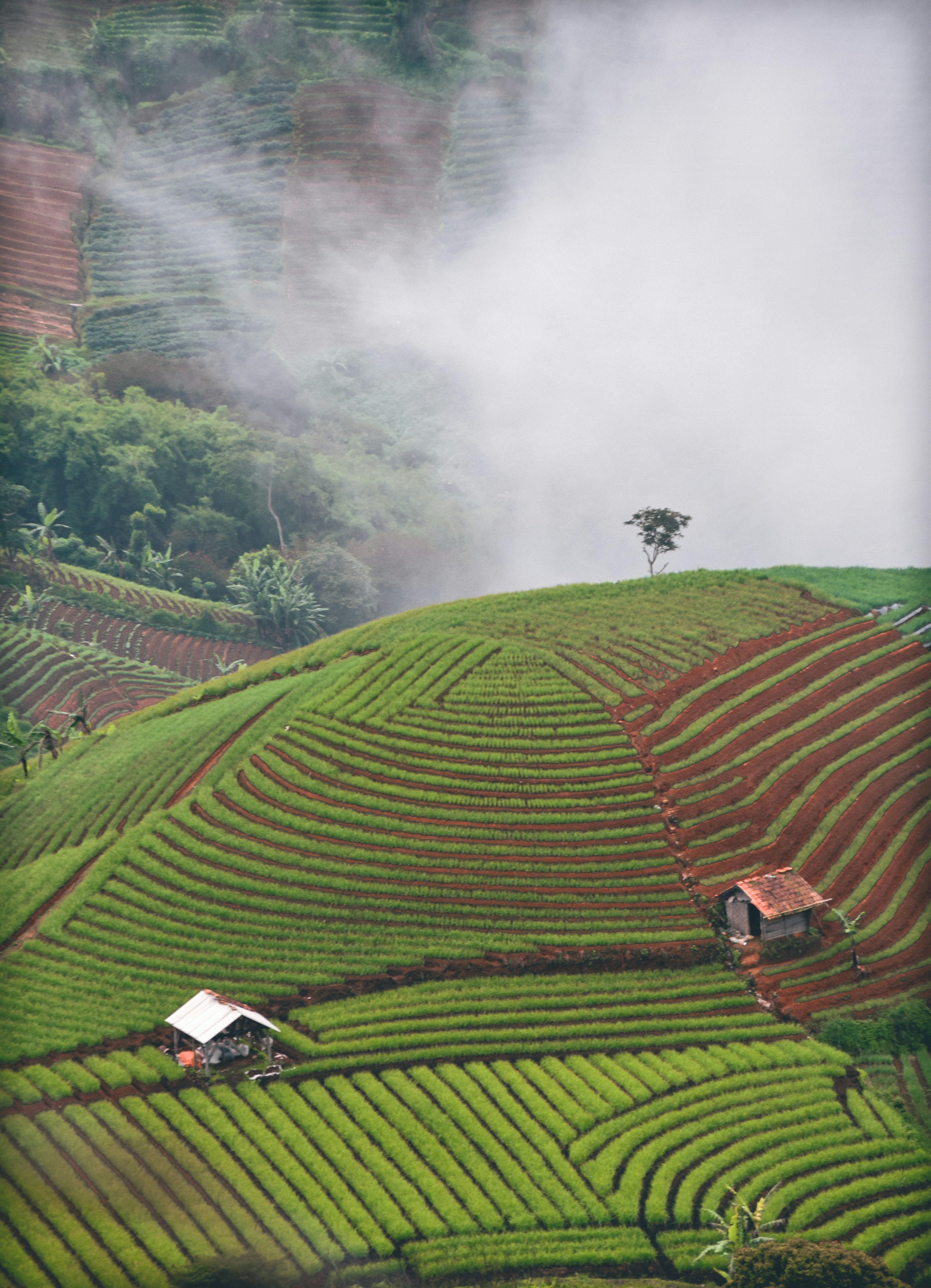 Photo by kabutmanja