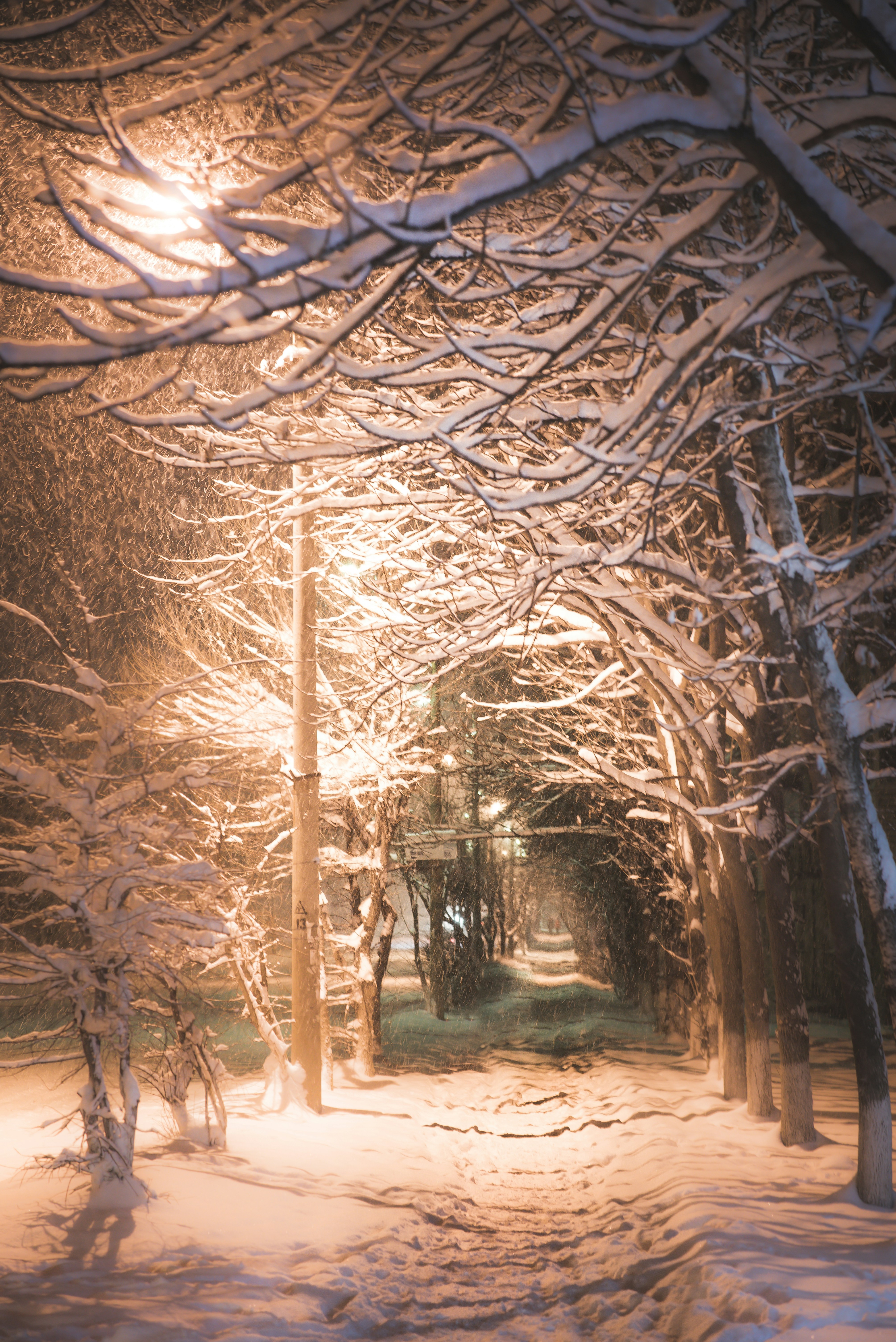 Photo by astralniy_keks