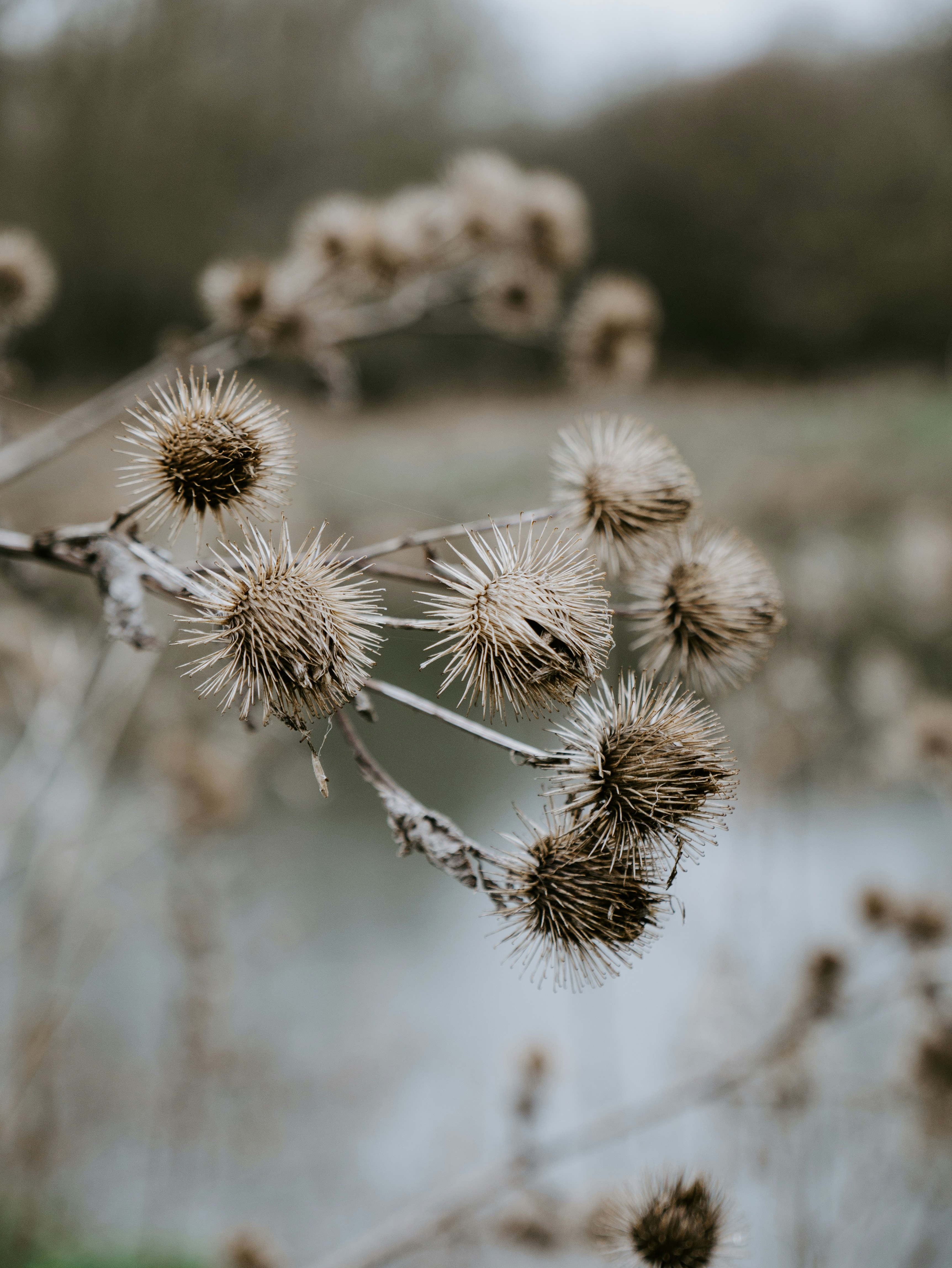 Photo by mattseymour