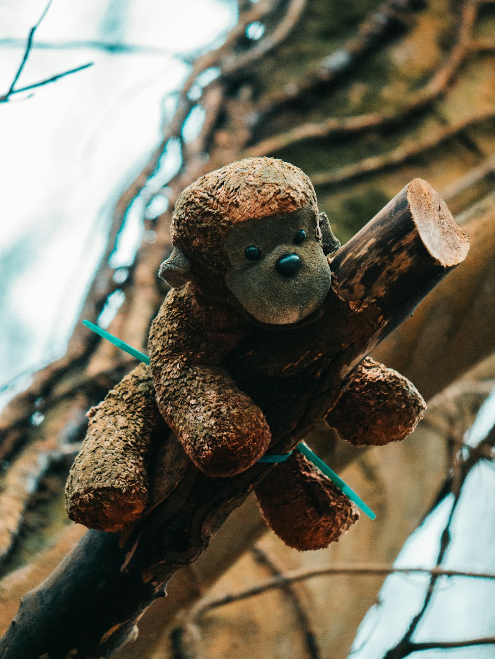 brown monkey plush toy on brown tree branch