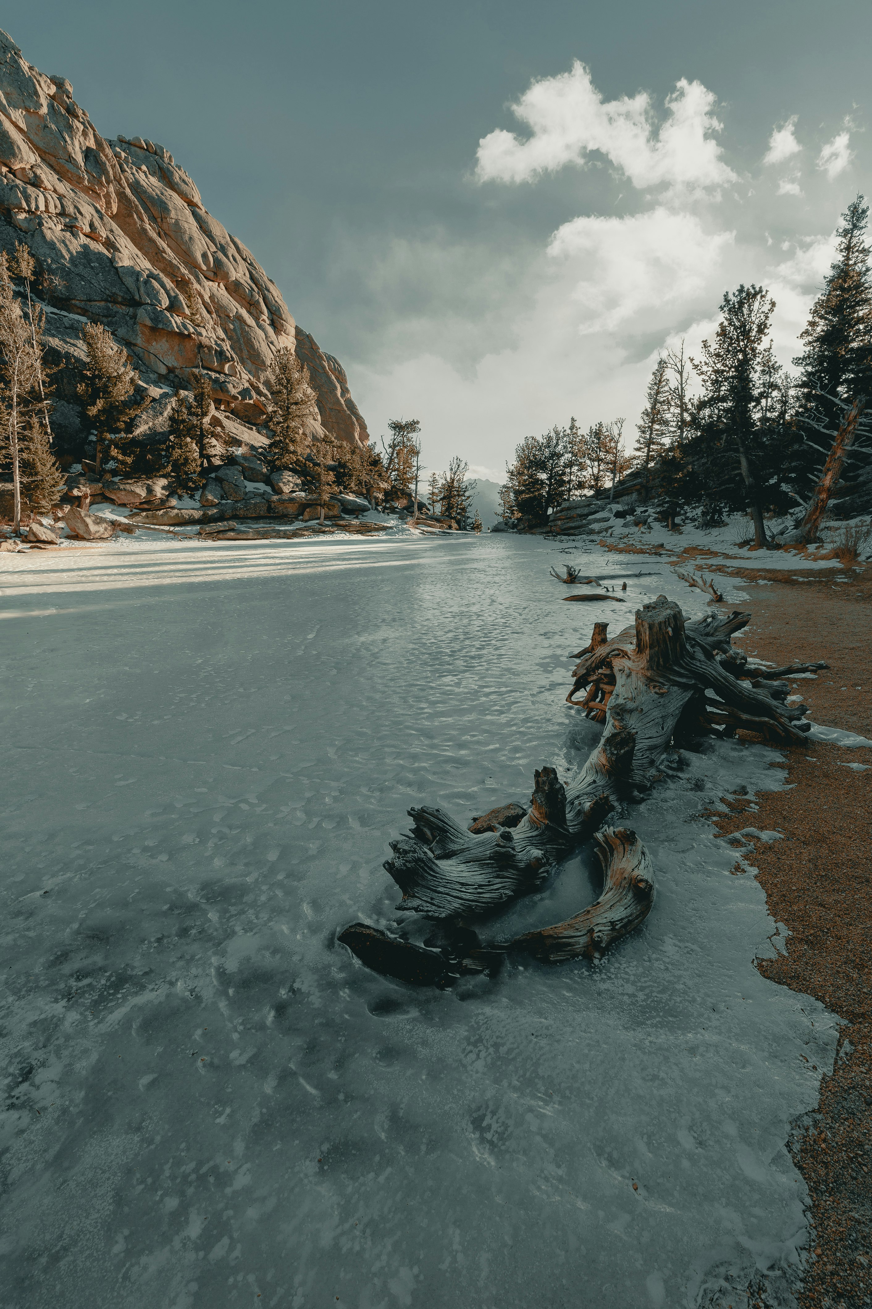 black canoe on snow covered ground near trees during daytime