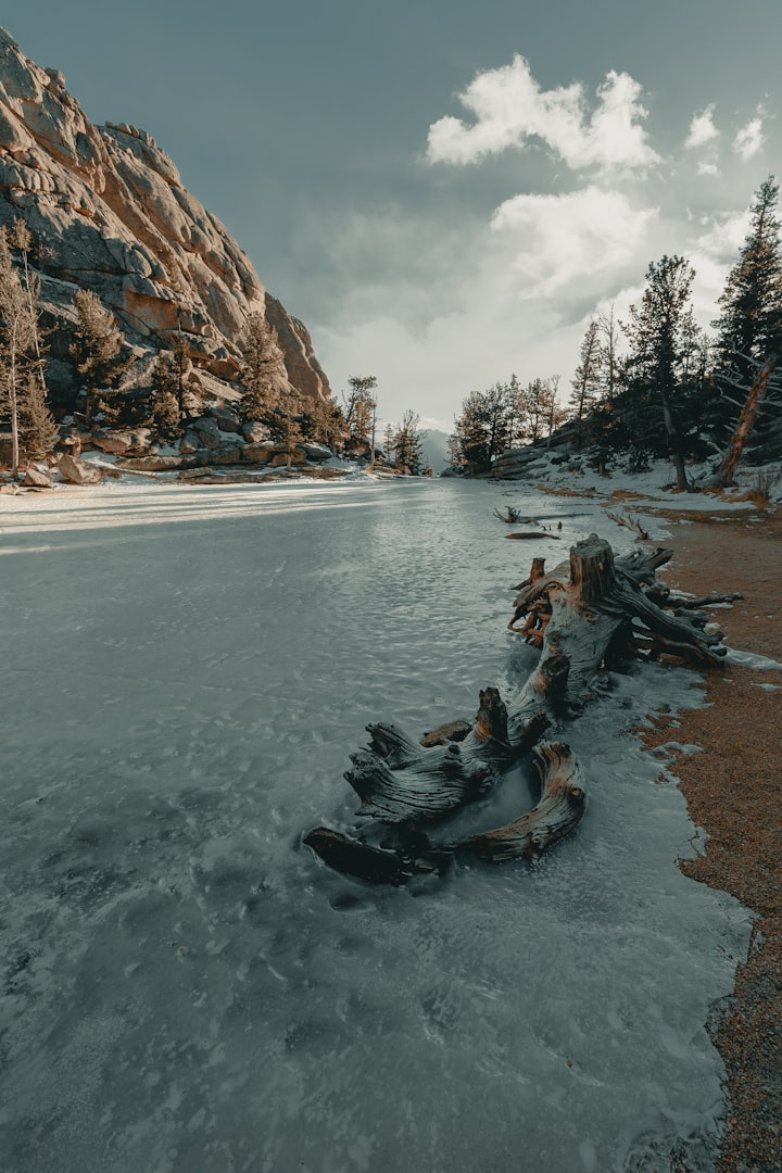 A Cold Date at Waldo's Pond