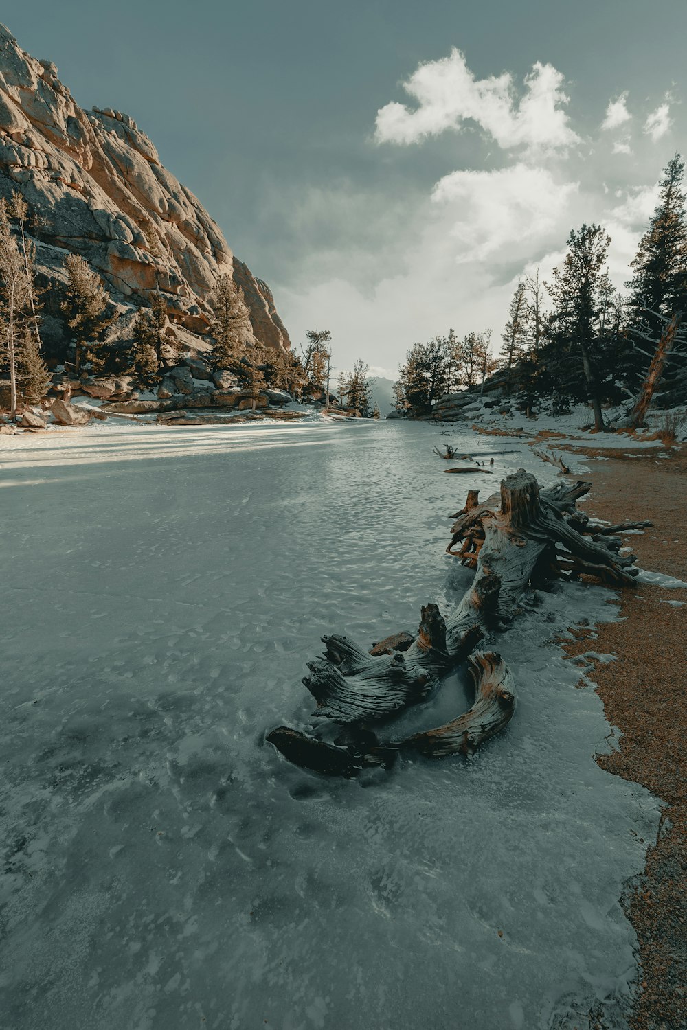 black canoe on snow covered ground near trees during daytime