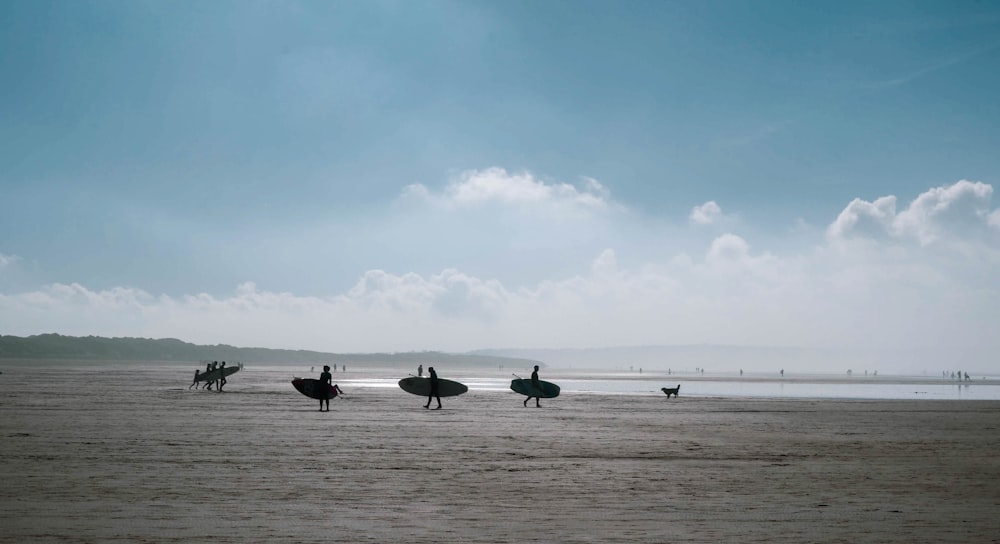 three black birds flying over the sea during daytime