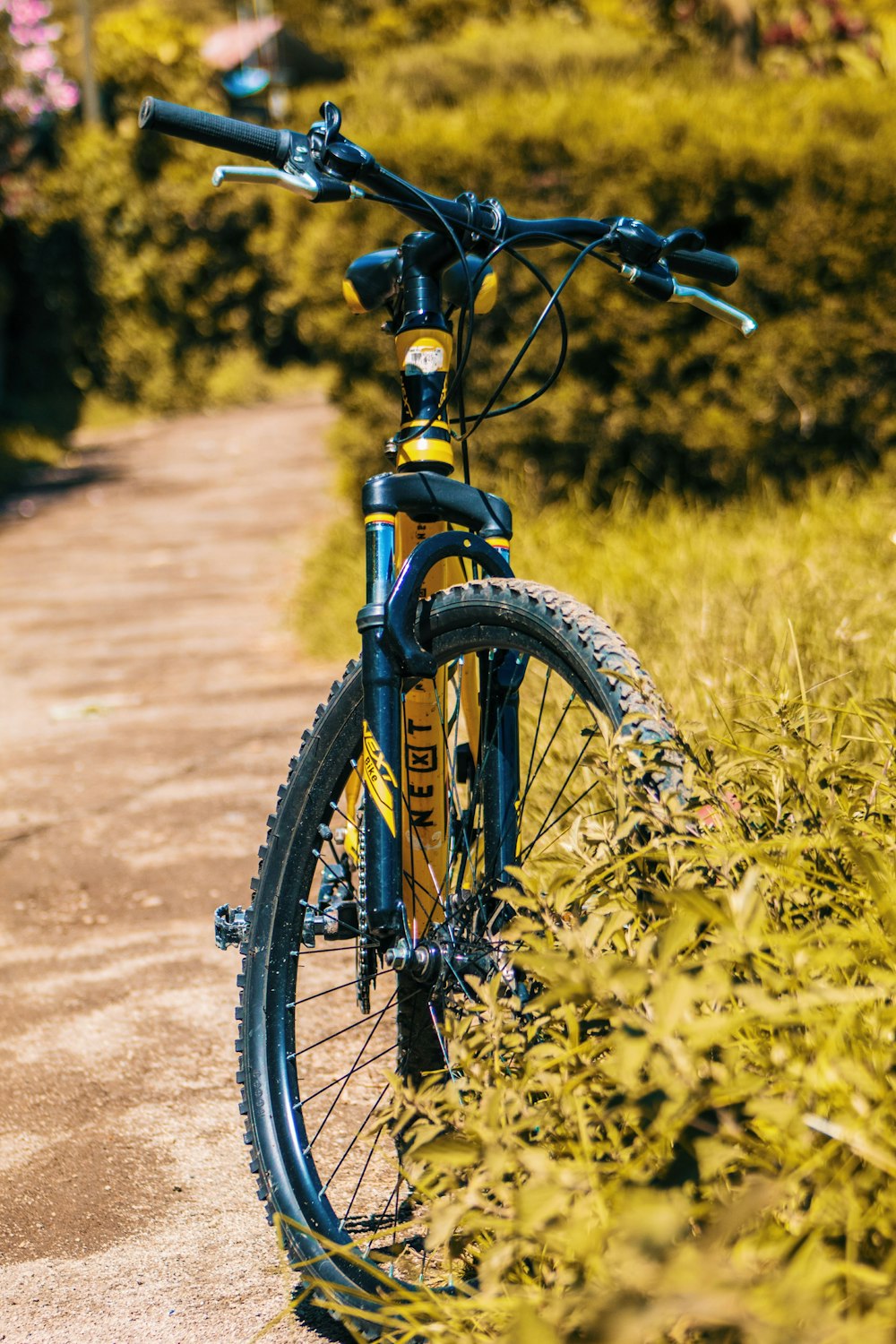 black bicycle on brown dirt road during daytime