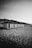 A row of beach cabins stands on a sandy shore, with gentle dunes in the background. The scene is primarily monochromatic, with shadows cast by the setting or rising sun.