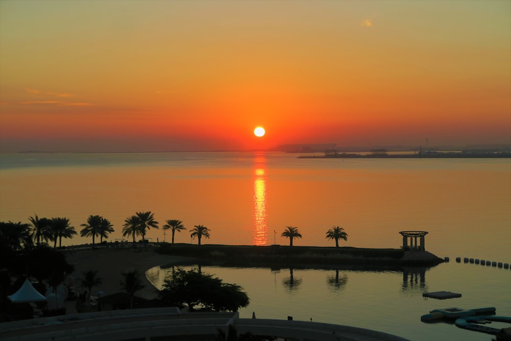 silhouette of trees near body of water during sunset