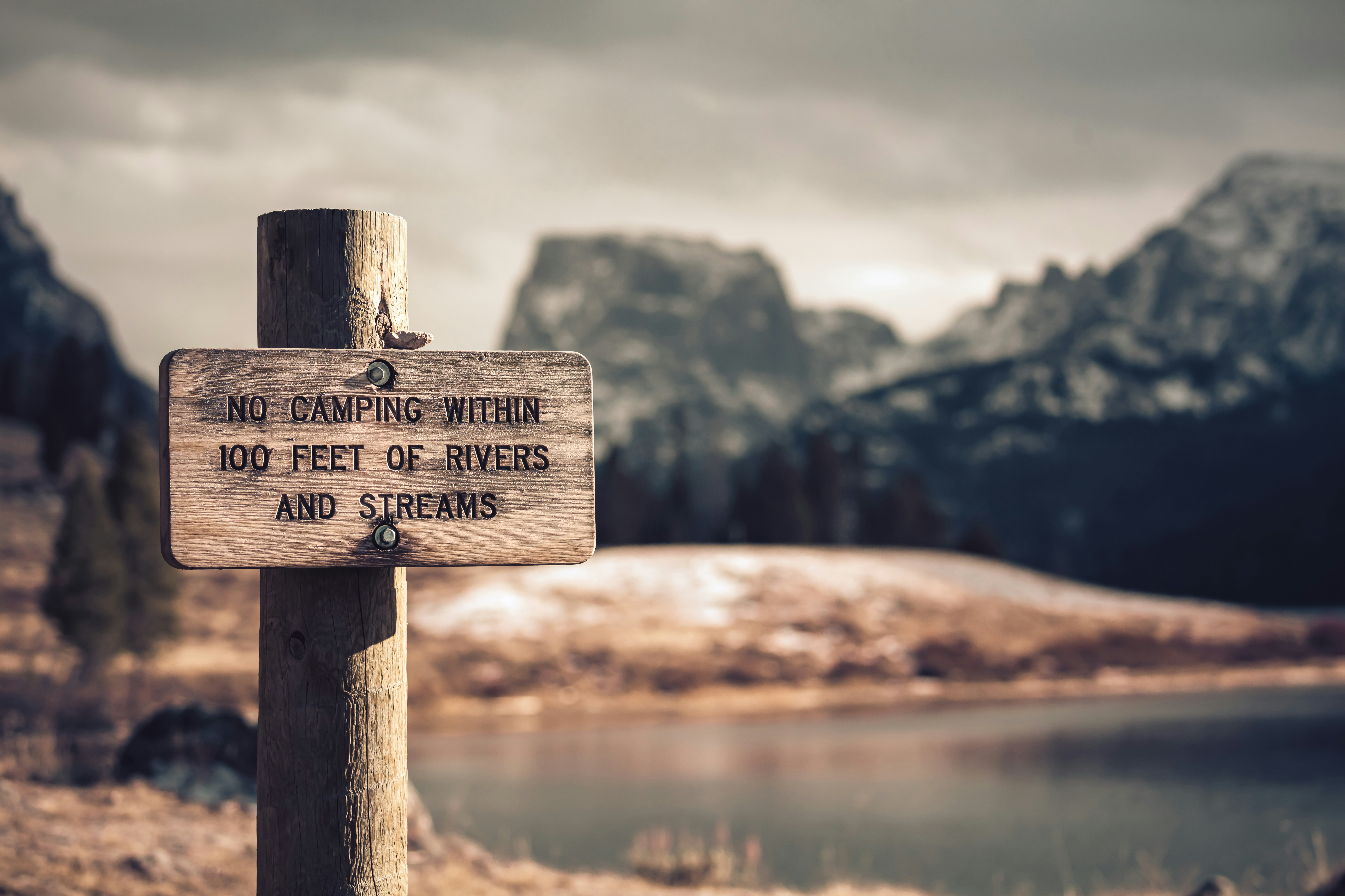 Photo by worldsbetweenlines