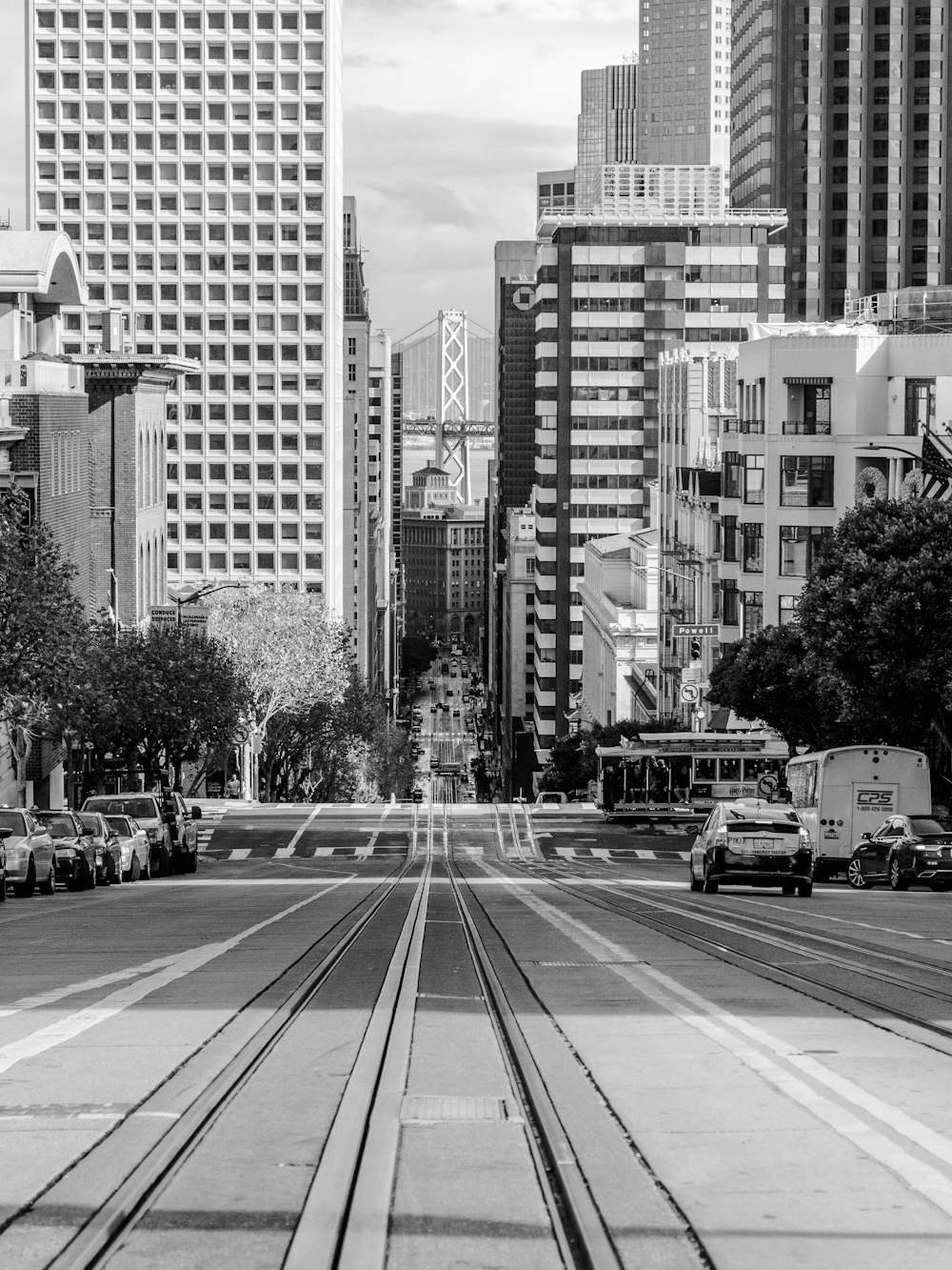 grayscale photo of city buildings and cars on road