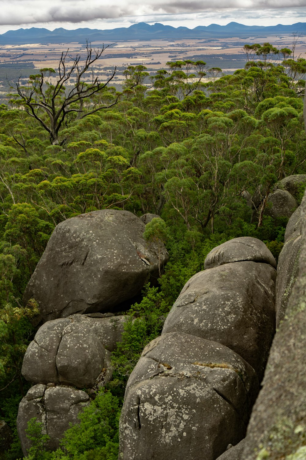 brown rock formation near green grass during daytime