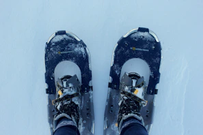 Close-up of snowshoes resting on fresh snow with aurora-lit sky in the background.